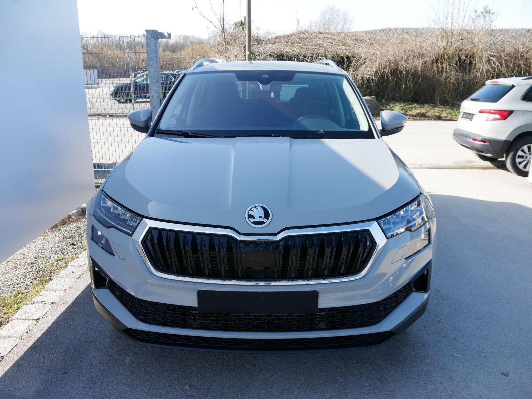 Skoda Karoq Selection (2025) - Foto 3