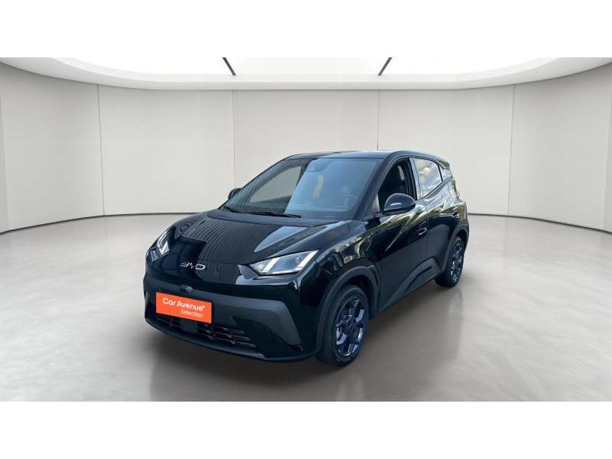 BYD DOLPHIN surf - comfort (2025) - Foto 1