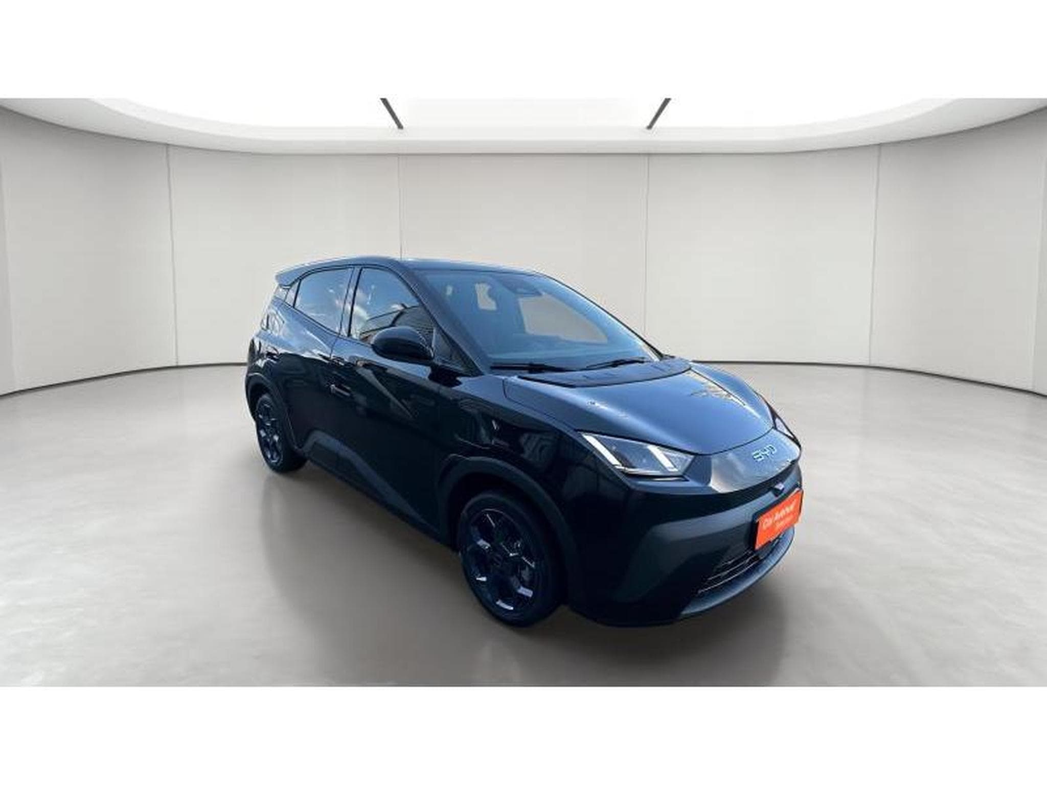 BYD DOLPHIN surf - comfort (2025) - Foto 4