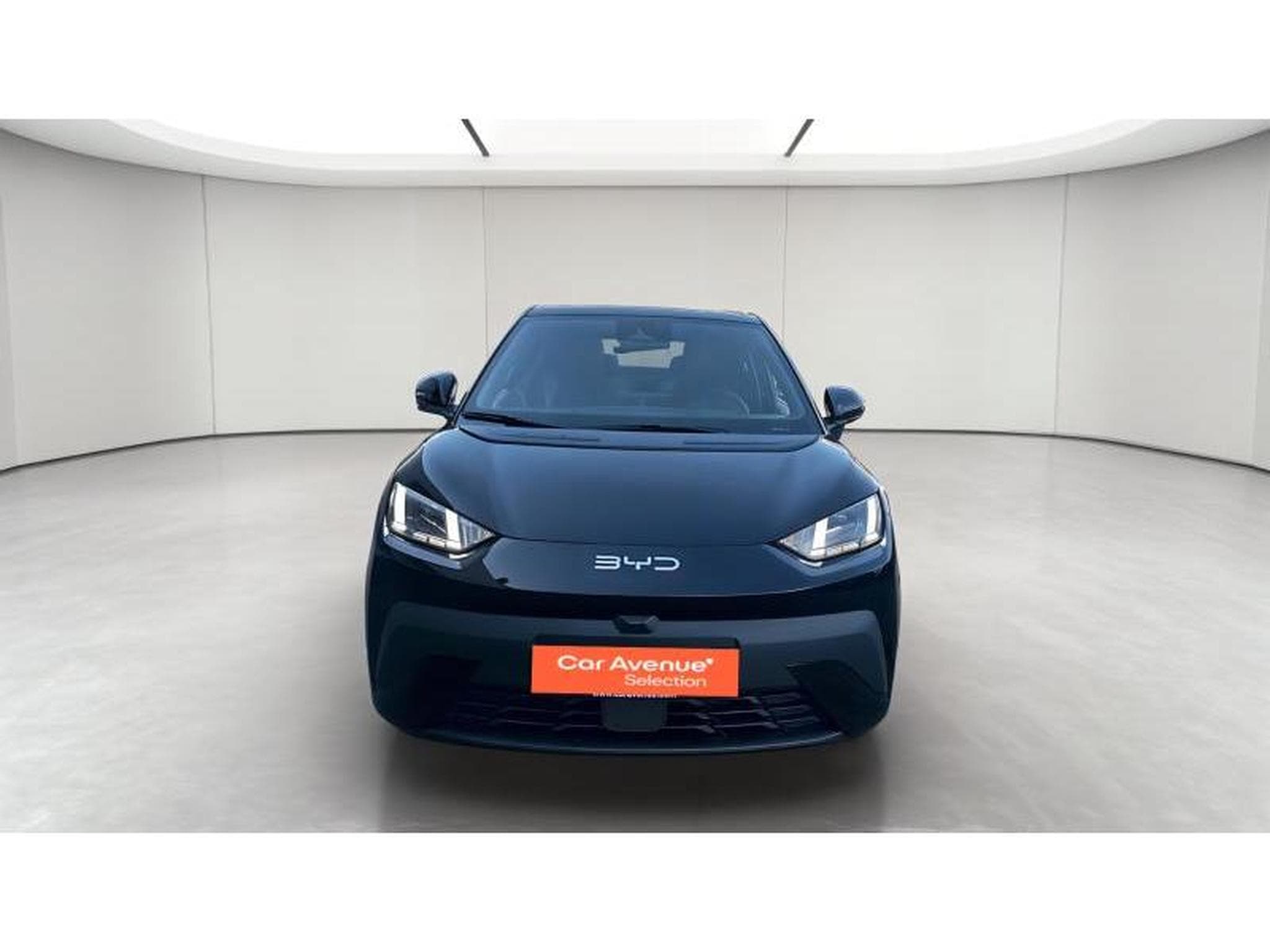 BYD DOLPHIN surf - comfort (2025) - Foto 14