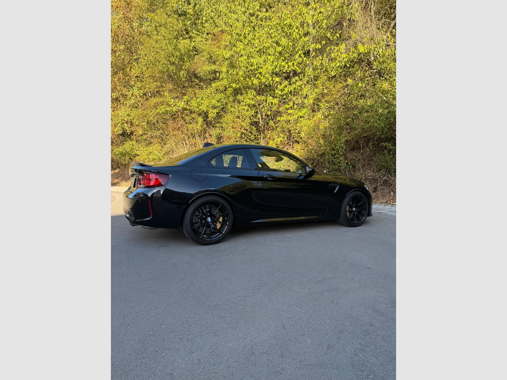 BMW M2 CS - Ceramic - H/K - Caméra (2020) - Photo 8