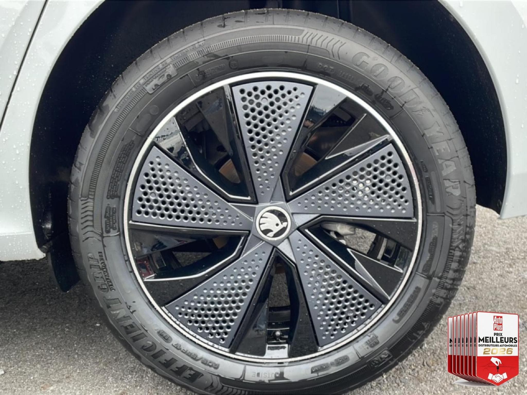 Skoda KAMIQ 1.0 TSI EVO 2 116 MONTE CARLO DSG7 (2026) - Foto 21