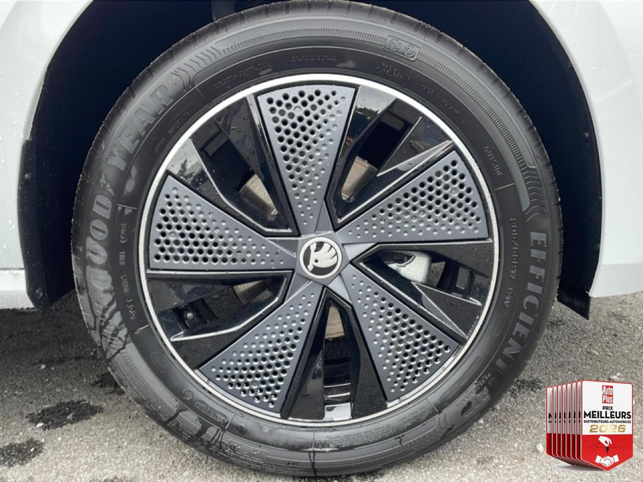 Skoda KAMIQ 1.0 TSI EVO 2 116 MONTE CARLO DSG7 (2026) - Photo 17