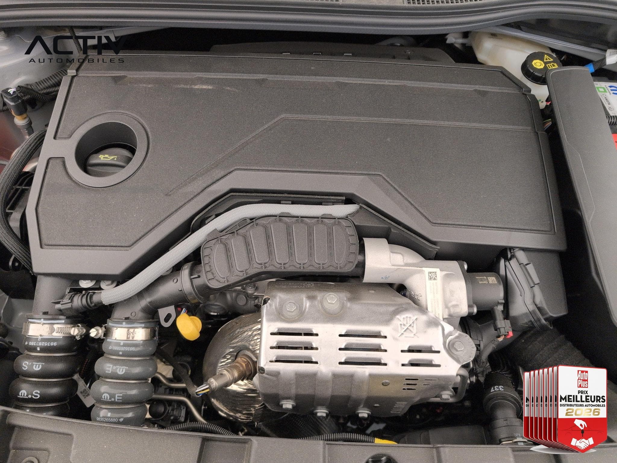 Jeep Avenger 1.2 Turbo T3 145 ch BVR6 4xe The North Face (2026) - Photo 23