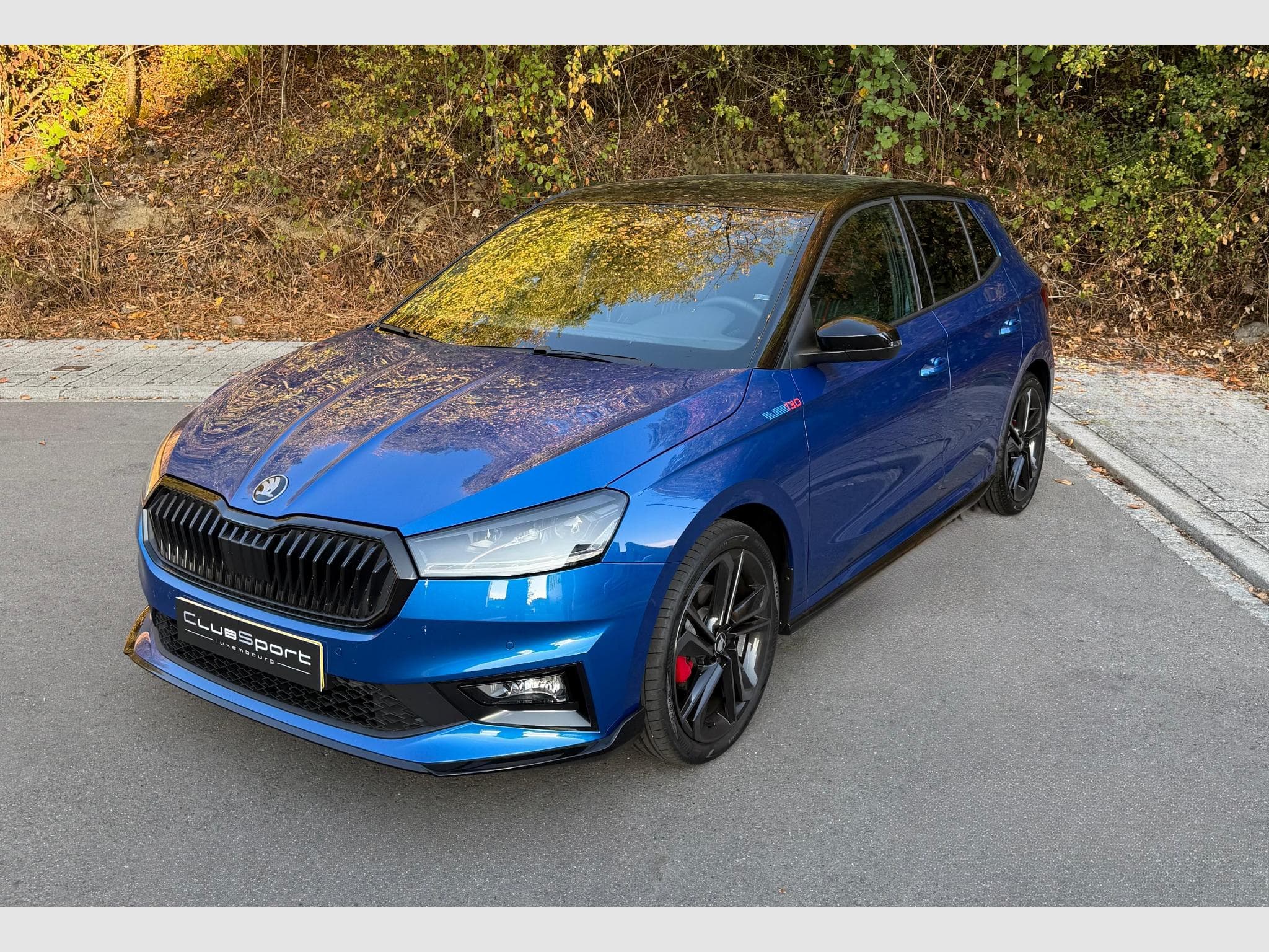 Skoda Fabia 130 Edition - TVA récupérable (2026) - Photo 1