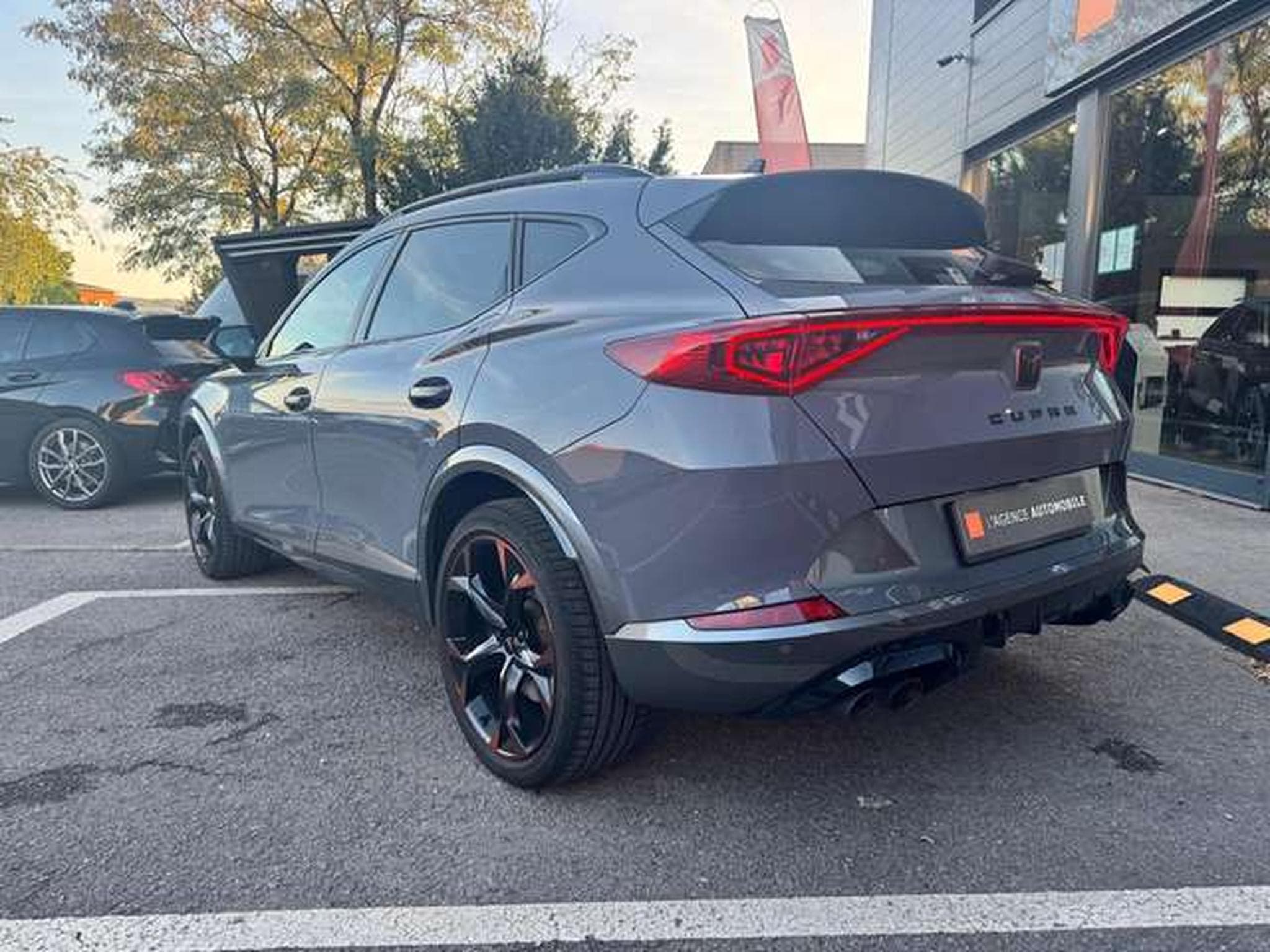 CUPRA Formentor Formentor VZ 2.0 TSI 4Drive DSG (2021) - Photo 6