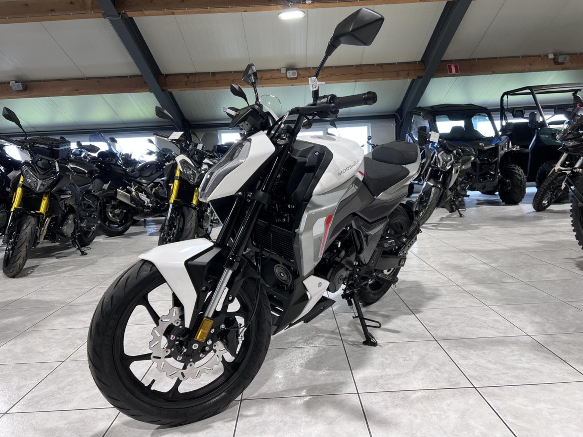 Morbidelli F125 (2026) - Foto 2