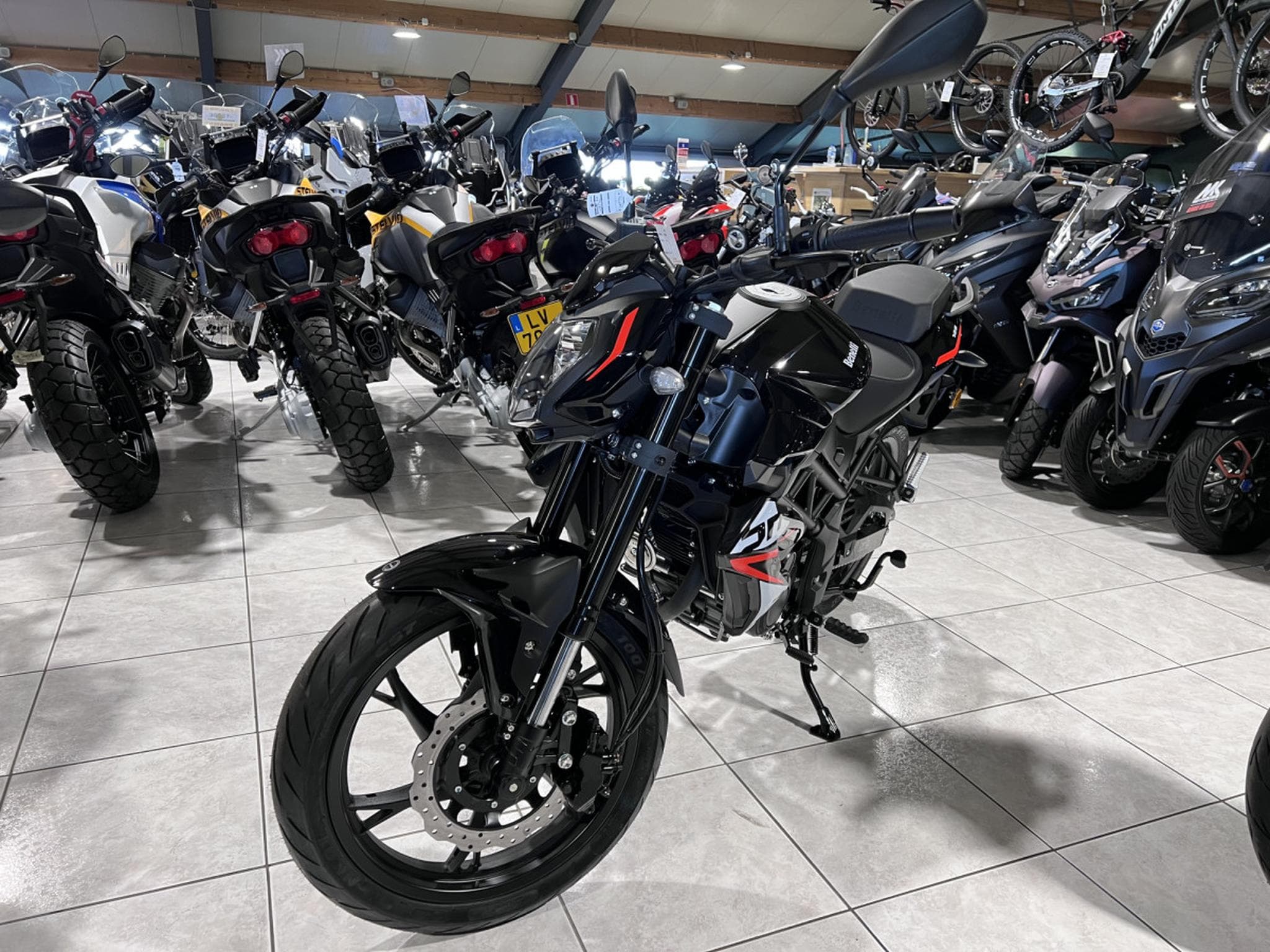 Benelli BN (2026) - Foto 2