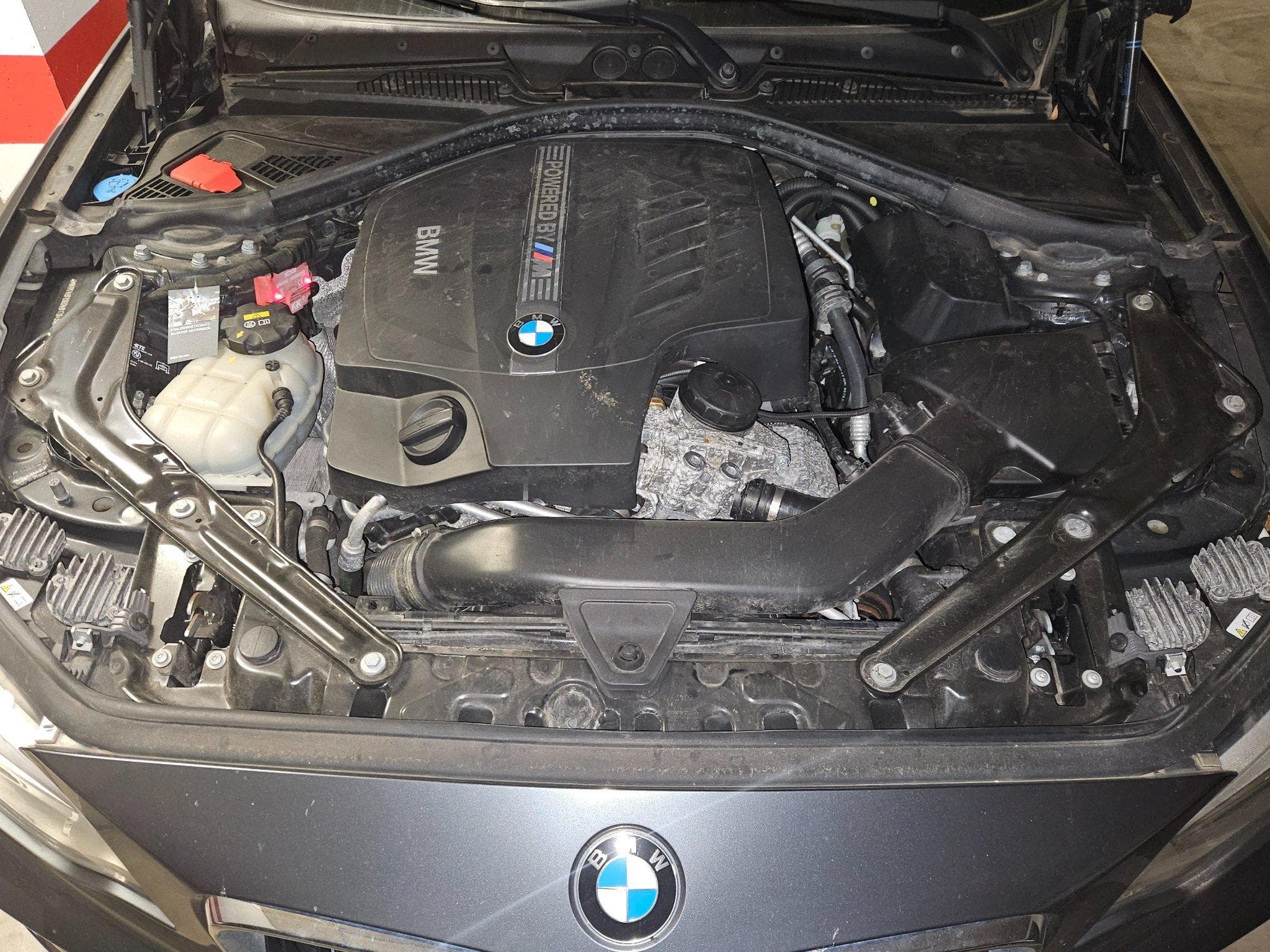 BMW M2 BMW M2 F87 3.0 370 ch DKG (2017) - Foto 15