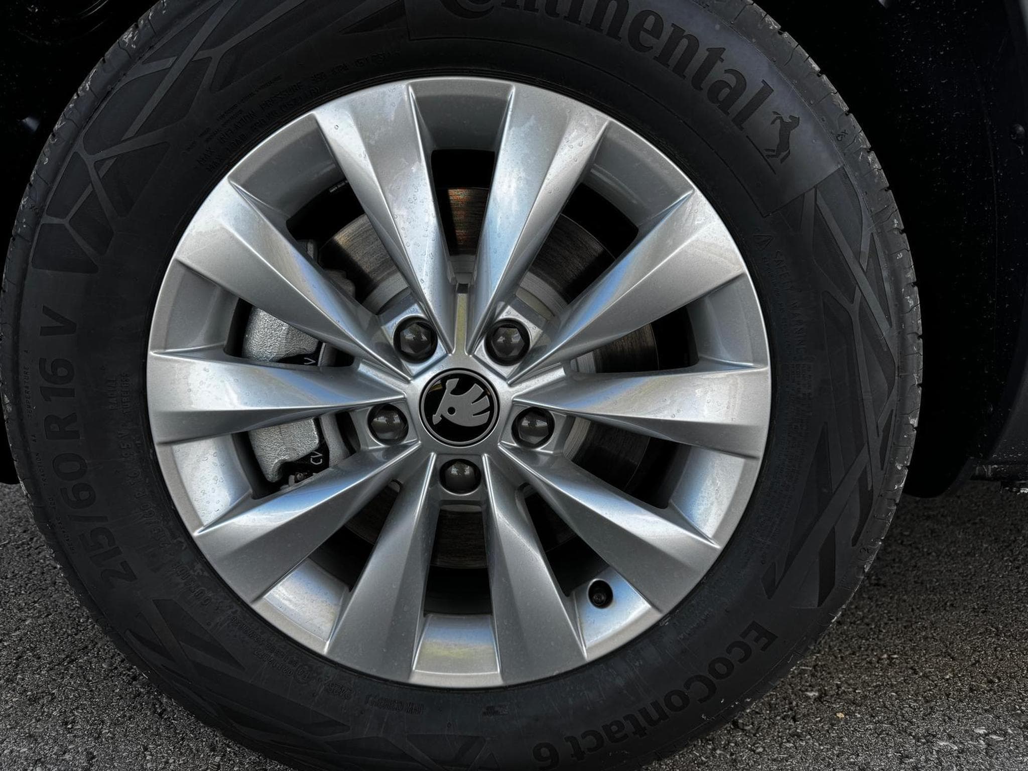 Skoda Karoq Selection (2026) - Photo 4