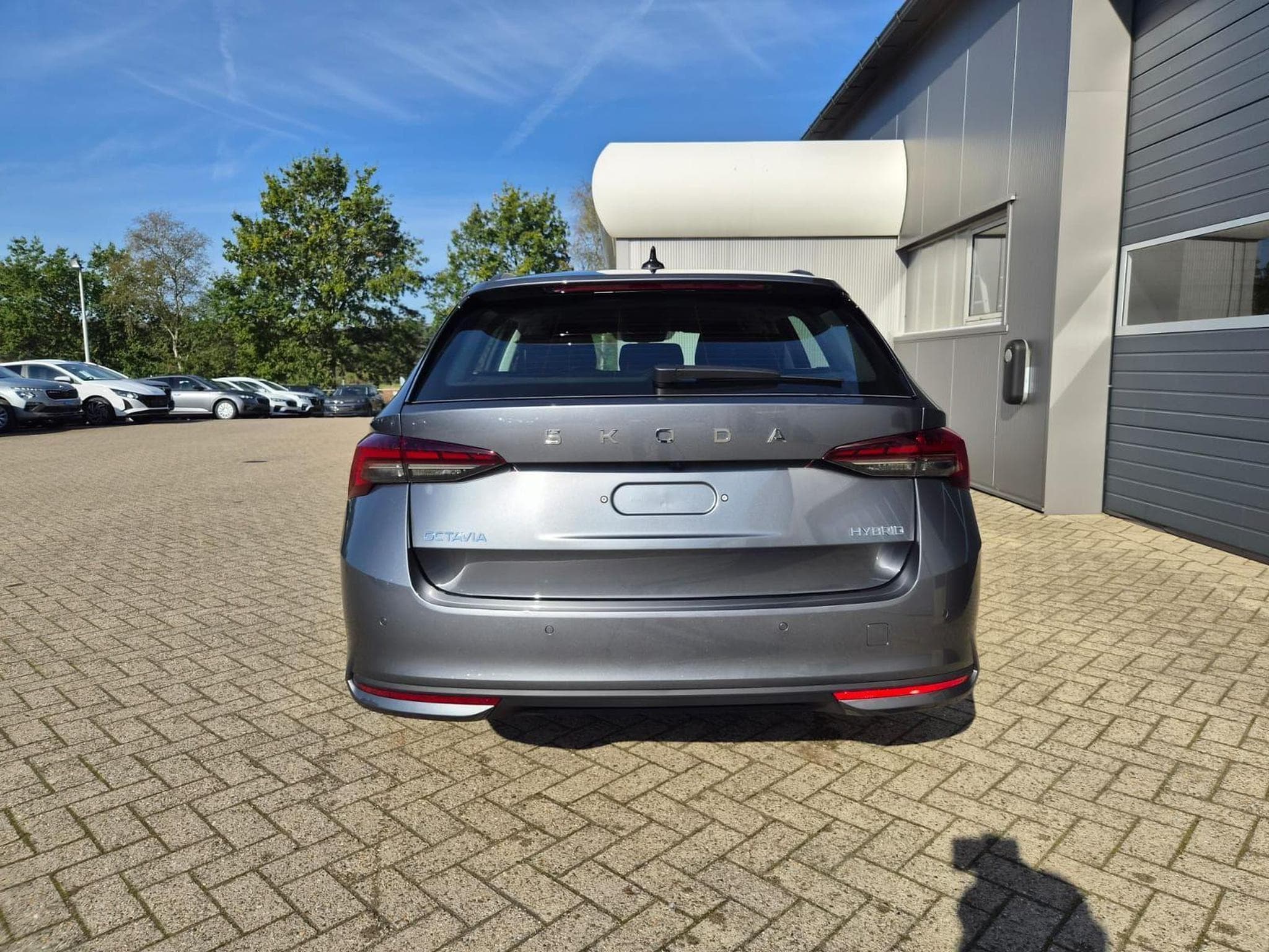 Skoda Octavia 1.5 TSI 150PS (2026) - Photo 3