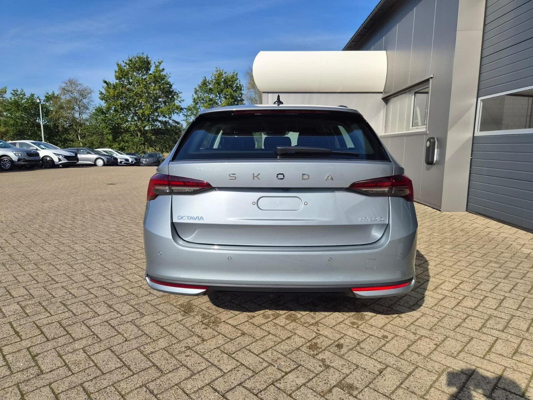 Skoda Octavia 1.5 TSI 150PS (2026) - Photo 3