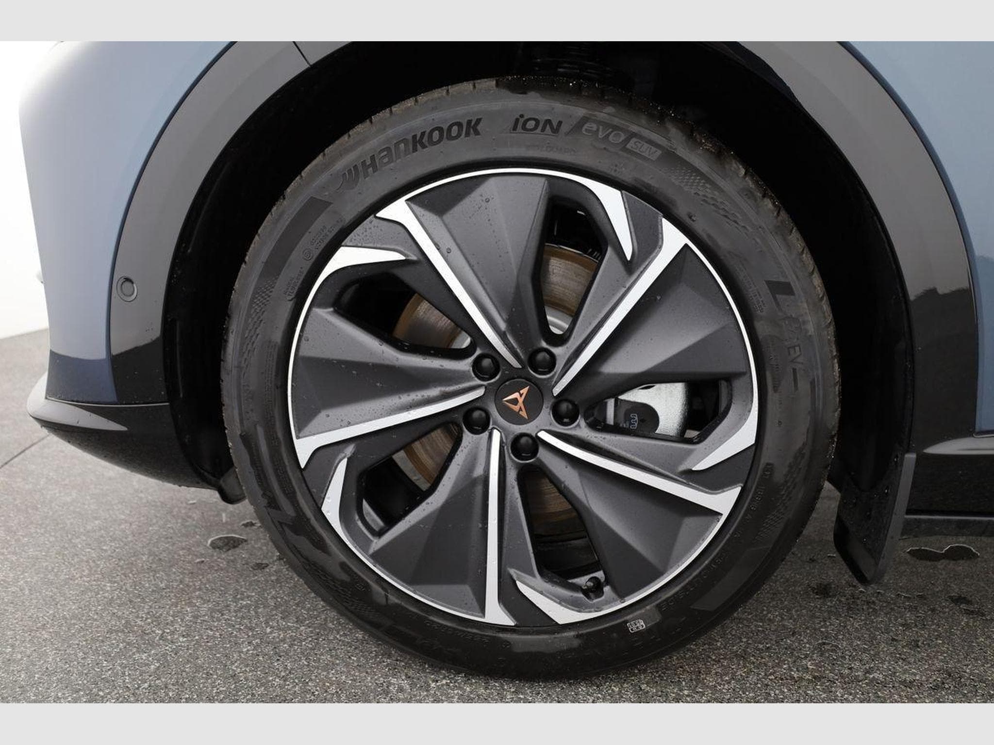 Seat Multivan 250 kW 4Drive VZ (2026) - Foto 13