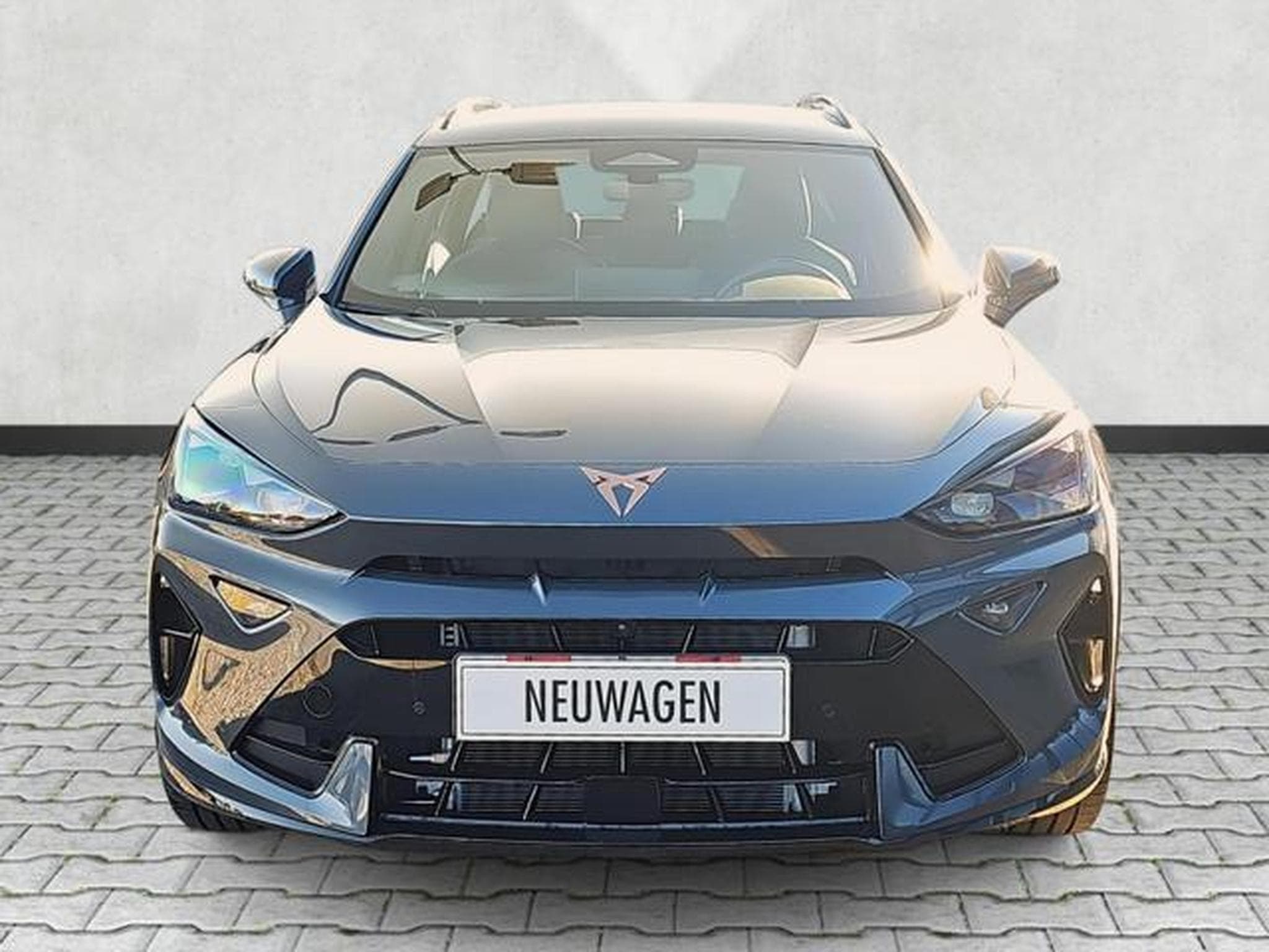 Cupra Formentor 2.0 TSI 150 kW 4Drive (2026) - Foto 2