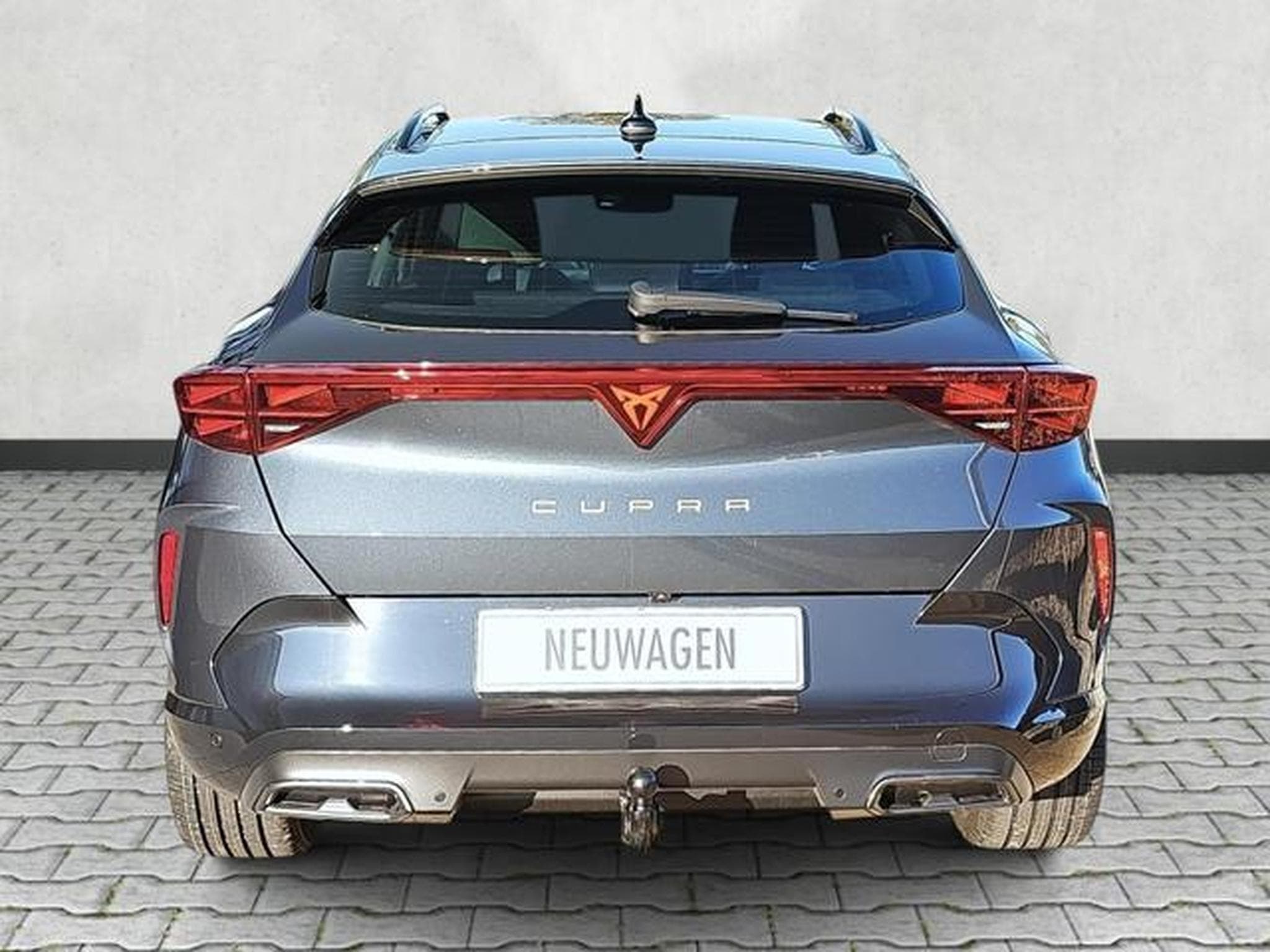 Cupra Formentor 2.0 TSI 150 kW 4Drive (2026) - Foto 6