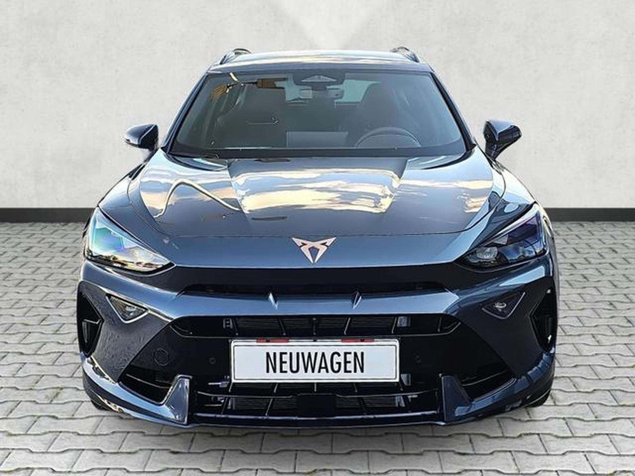 Cupra Formentor VZ 2.0 TSI 245 kW 4Drive (2026) - Foto 2
