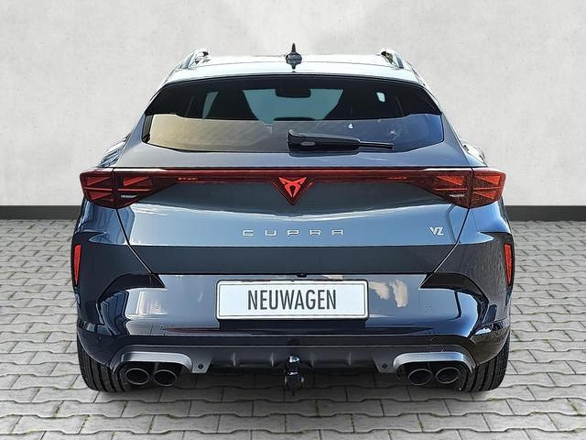 Cupra Formentor VZ 2.0 TSI 245 kW 4Drive (2026) - Foto 6