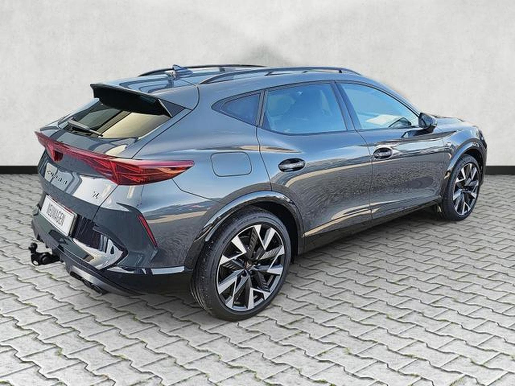 Cupra Formentor VZ 2.0 TSI 245 kW 4Drive (2026) - Foto 7