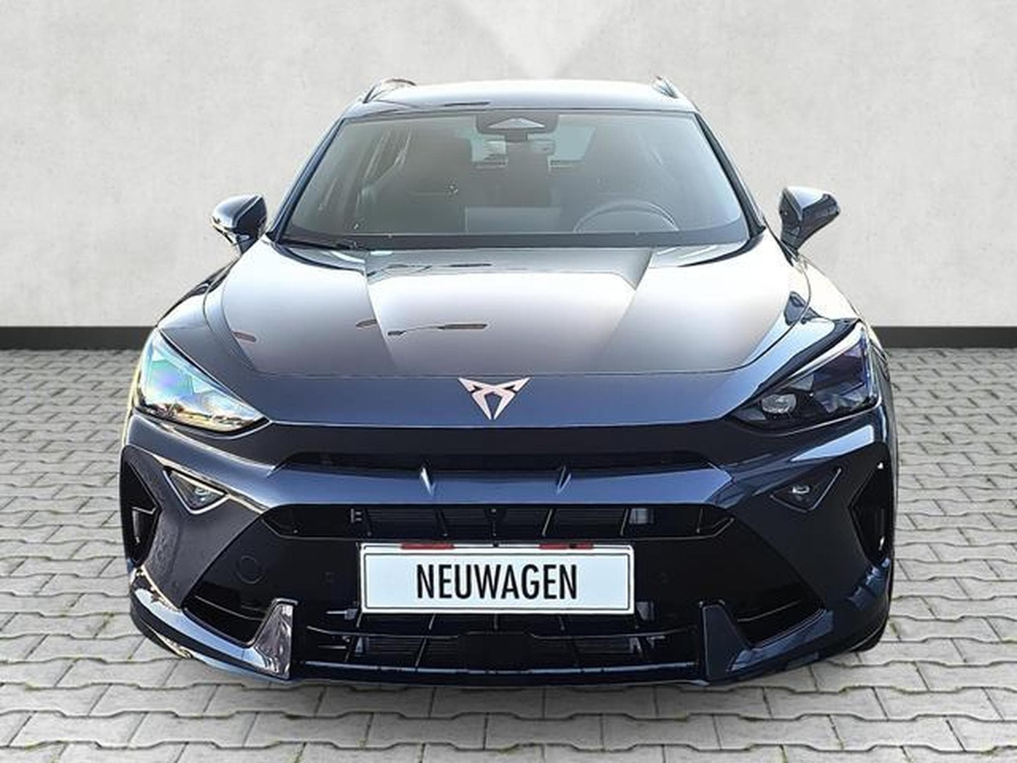 Cupra Formentor VZ 2.0 TSI 245 kW 4Drive (2026) - Photo 2
