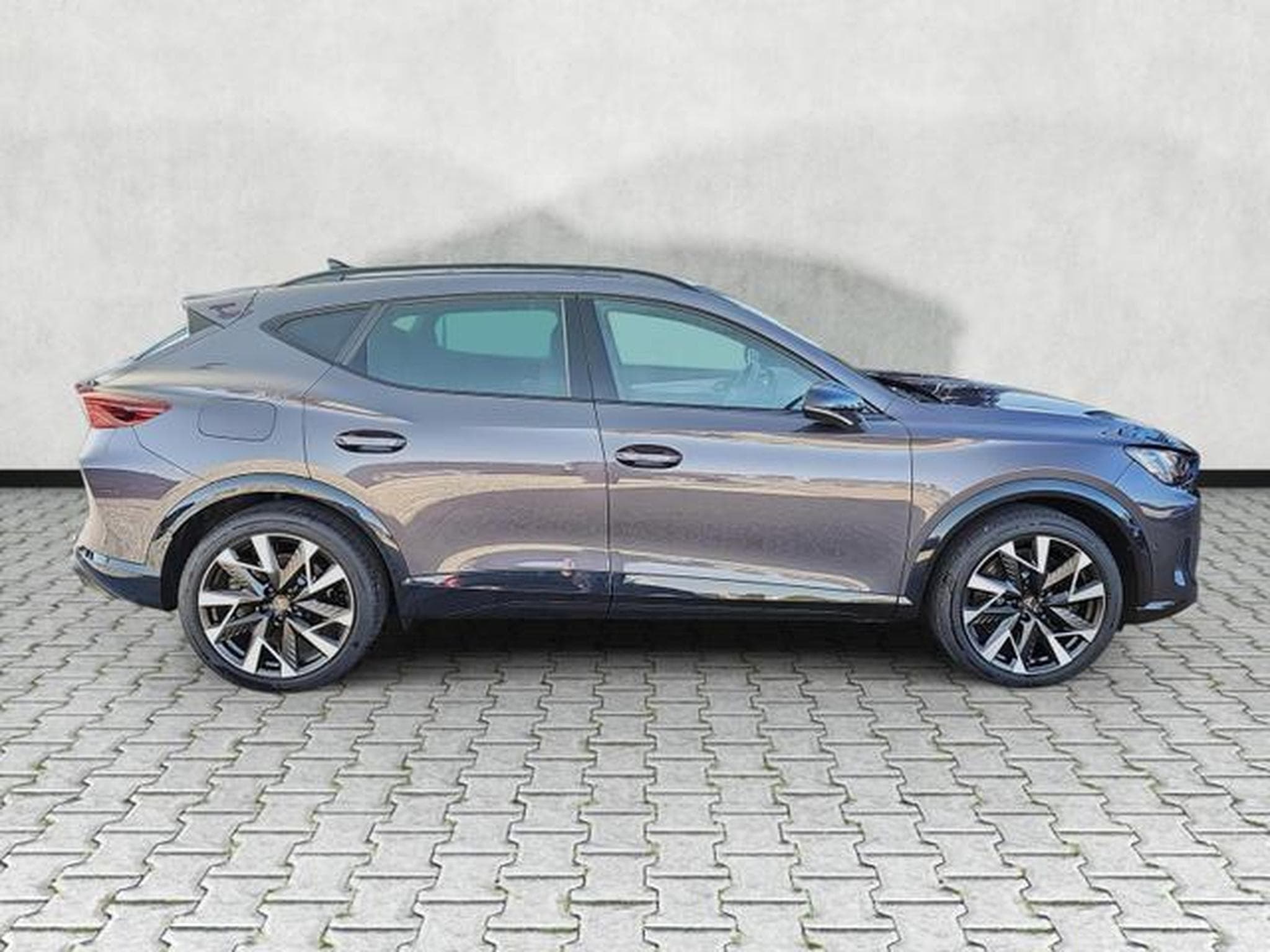 Cupra Formentor VZ 2.0 TSI 245 kW 4Drive (2026) - Photo 8