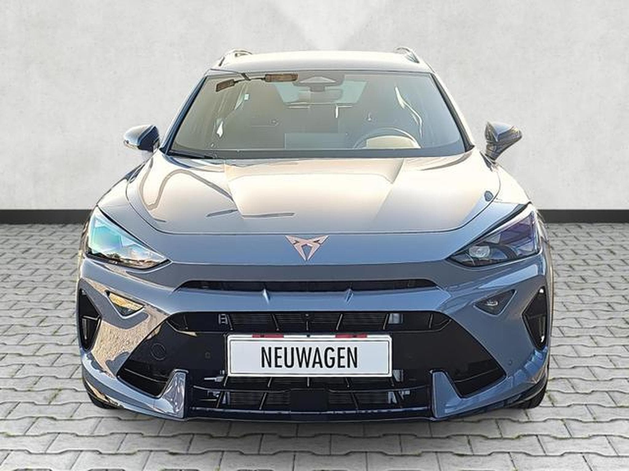 Cupra Formentor VZ 2.0 TSI 245 kW 4Drive (2026) - Foto 2