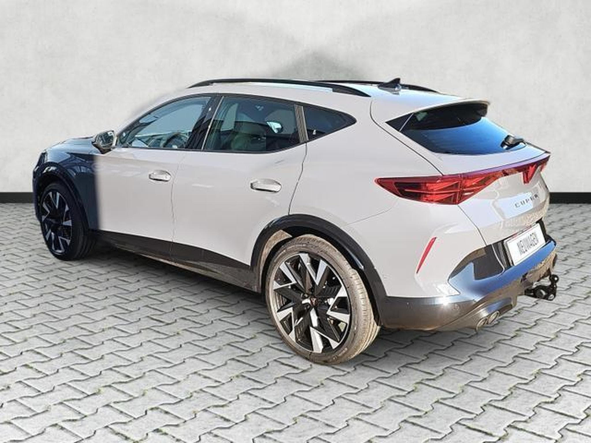 Cupra Formentor VZ 2.0 TSI 245 kW 4Drive (2026) - Foto 5