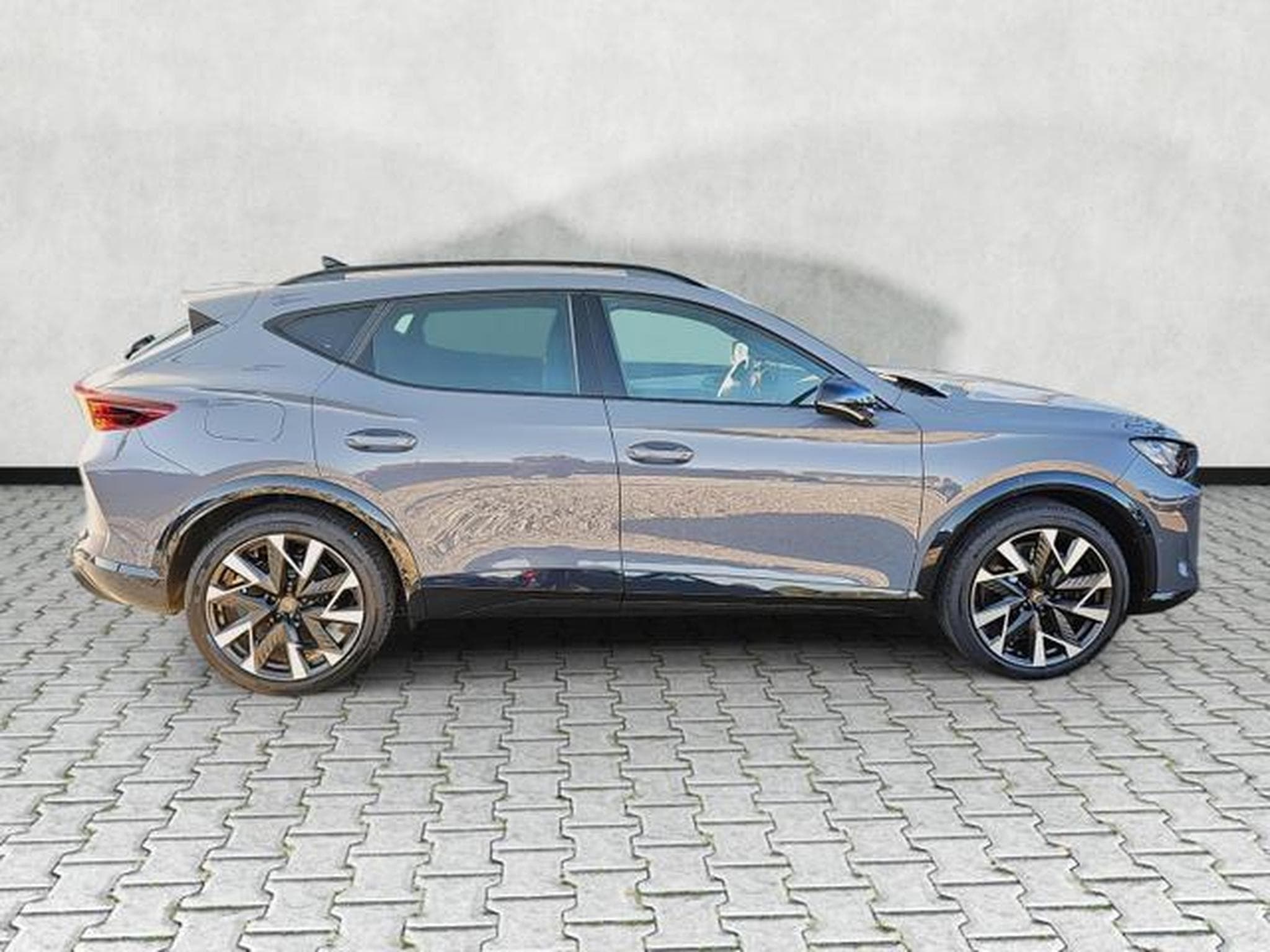 Cupra Formentor VZ 2.0 TSI 245 kW 4Drive (2026) - Foto 8