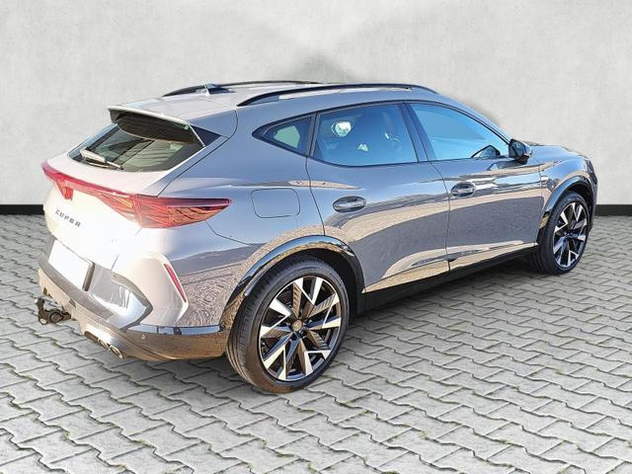 Cupra Formentor VZ 2.0 TSI 245 kW 4Drive (2026) - Foto 7