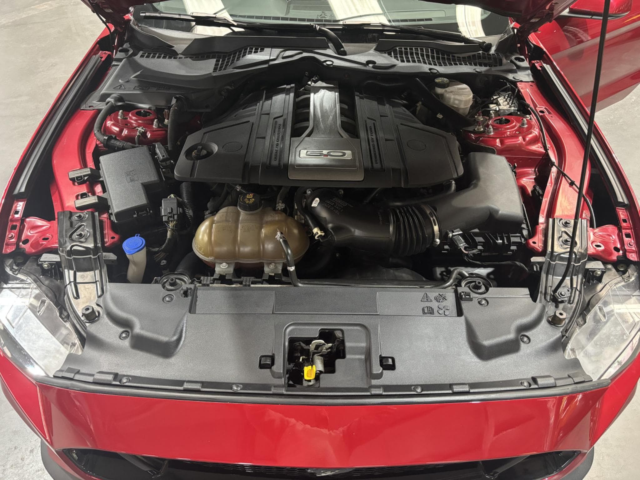 Ford Mustang 5.0 V8 GT AT (2020) - Photo 9