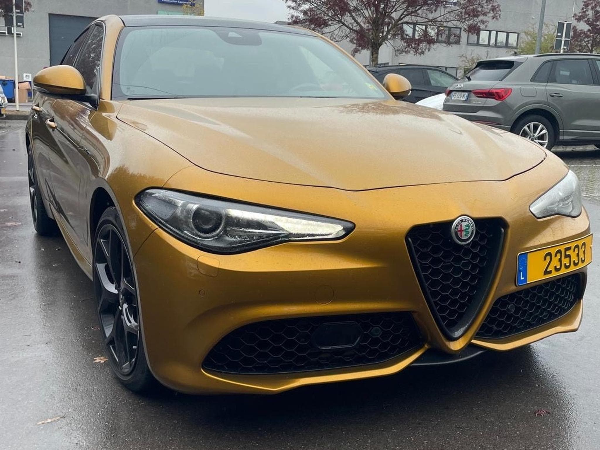 Alfa-Romeo Giulia 2.0 TB 280 Q4 GT Junior Ocra (2022) - Photo 2