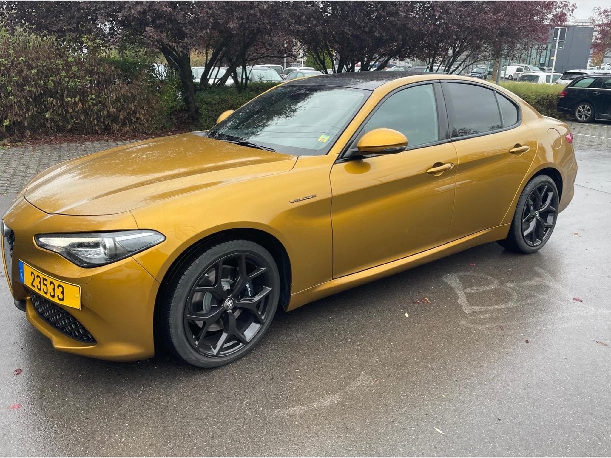 Alfa-Romeo Giulia 2.0 TB 280 Q4 GT Junior Ocra (2022) - Photo 3