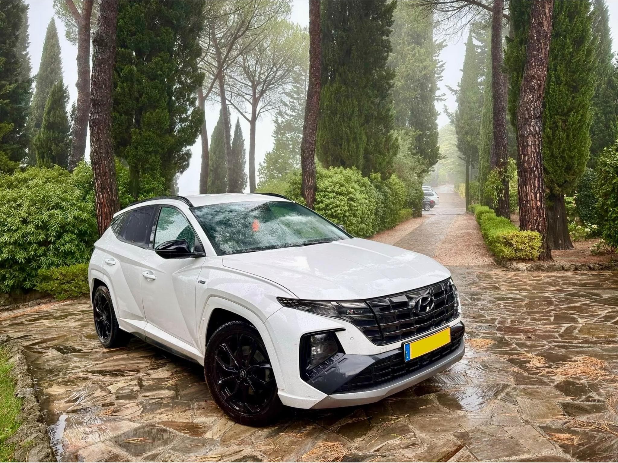 Hyundai Tucson N-line Feel (2024) - Photo 1