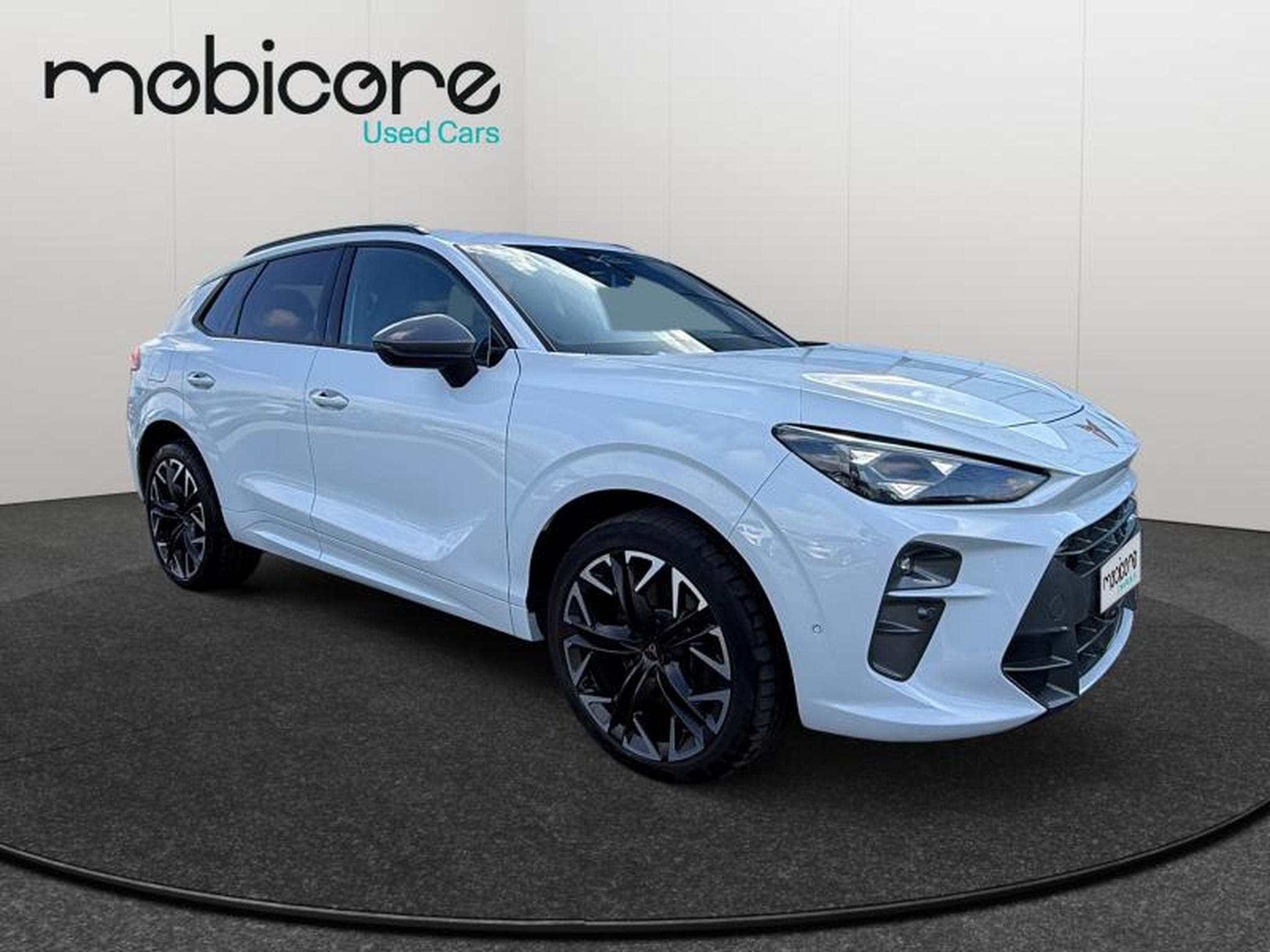 Cupra Terramar VZ 2.0 TSI 4x4 265 CV/ Essence (2025) - Foto 8