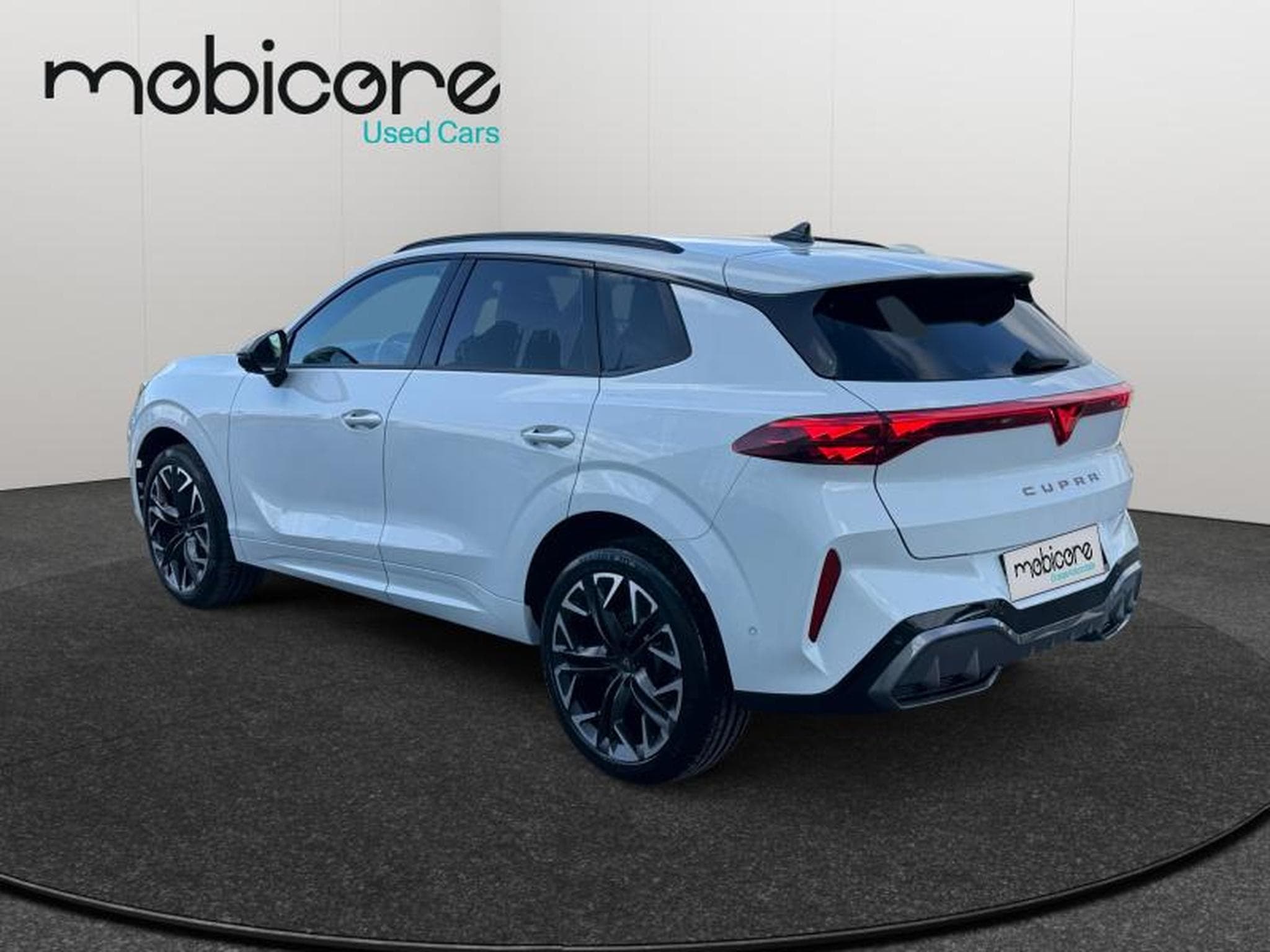 Cupra Terramar VZ 2.0 TSI 4x4 265 CV/ Essence (2025) - Foto 24