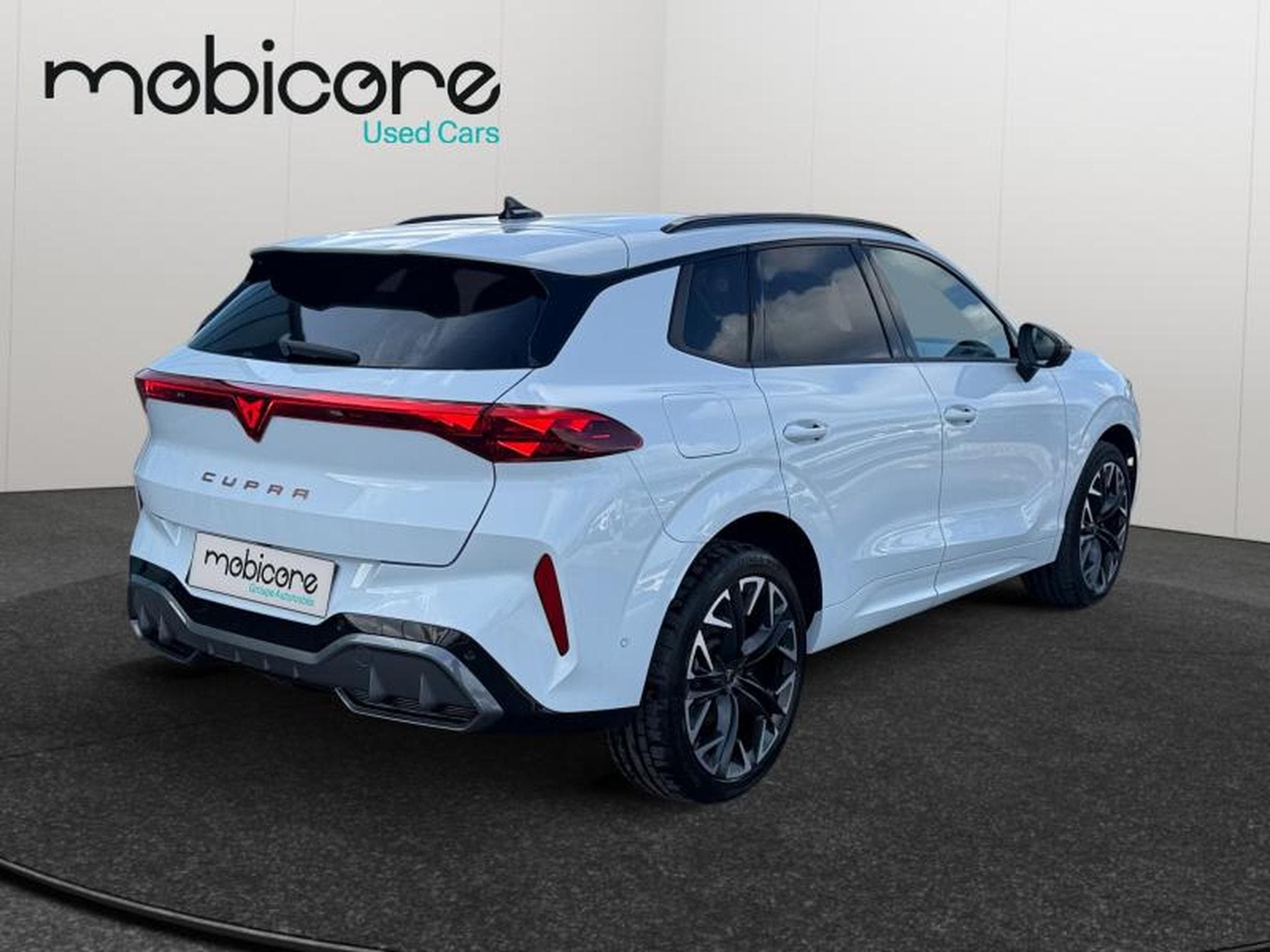 Cupra Terramar VZ 2.0 TSI 4x4 265 CV/ Essence (2025) - Foto 21