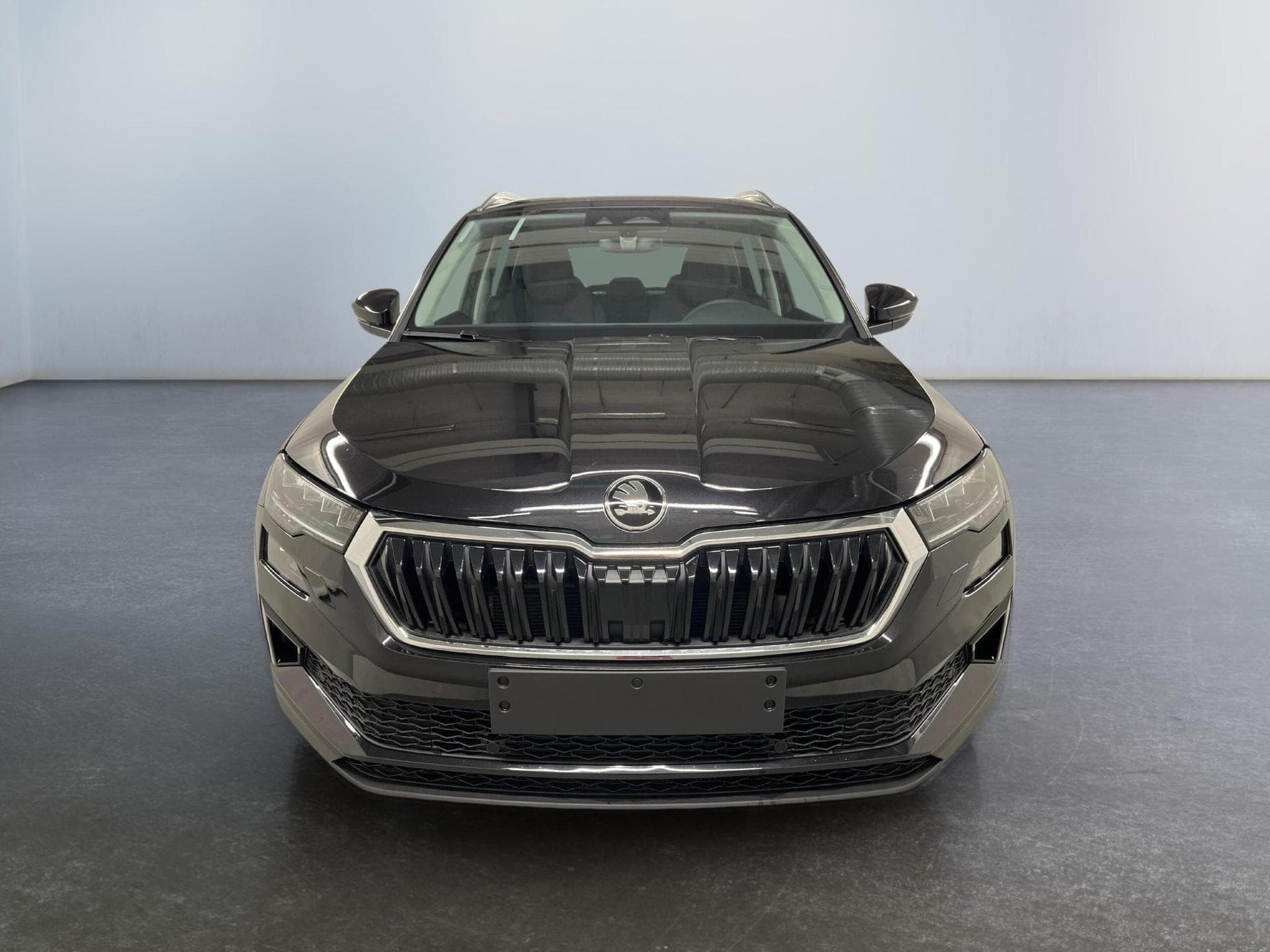 Skoda Karoq Selection (2026) - Photo 2