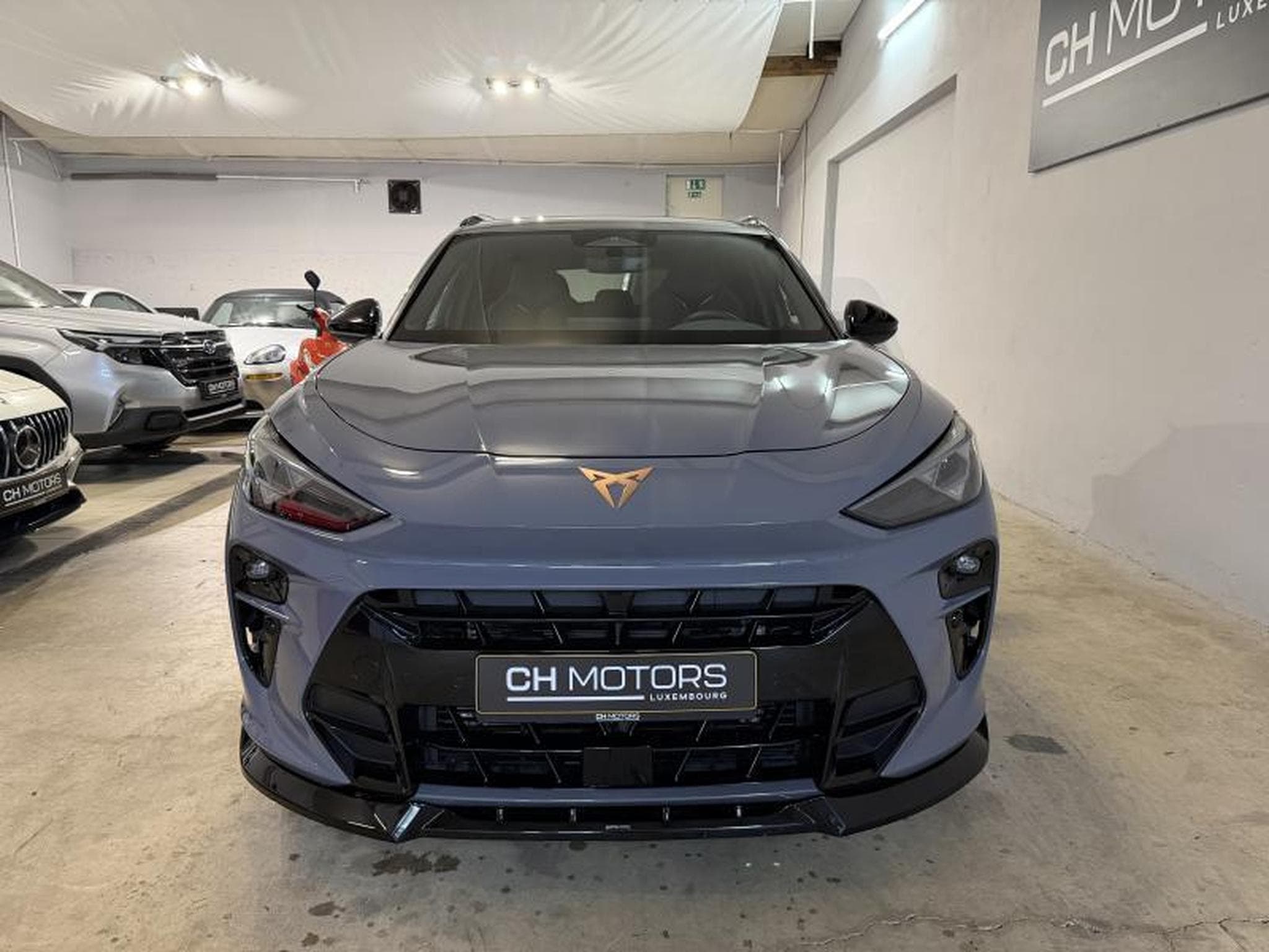 Cupra Terramar 2.0 TSI 265 DSG7 (2025) - Photo 2