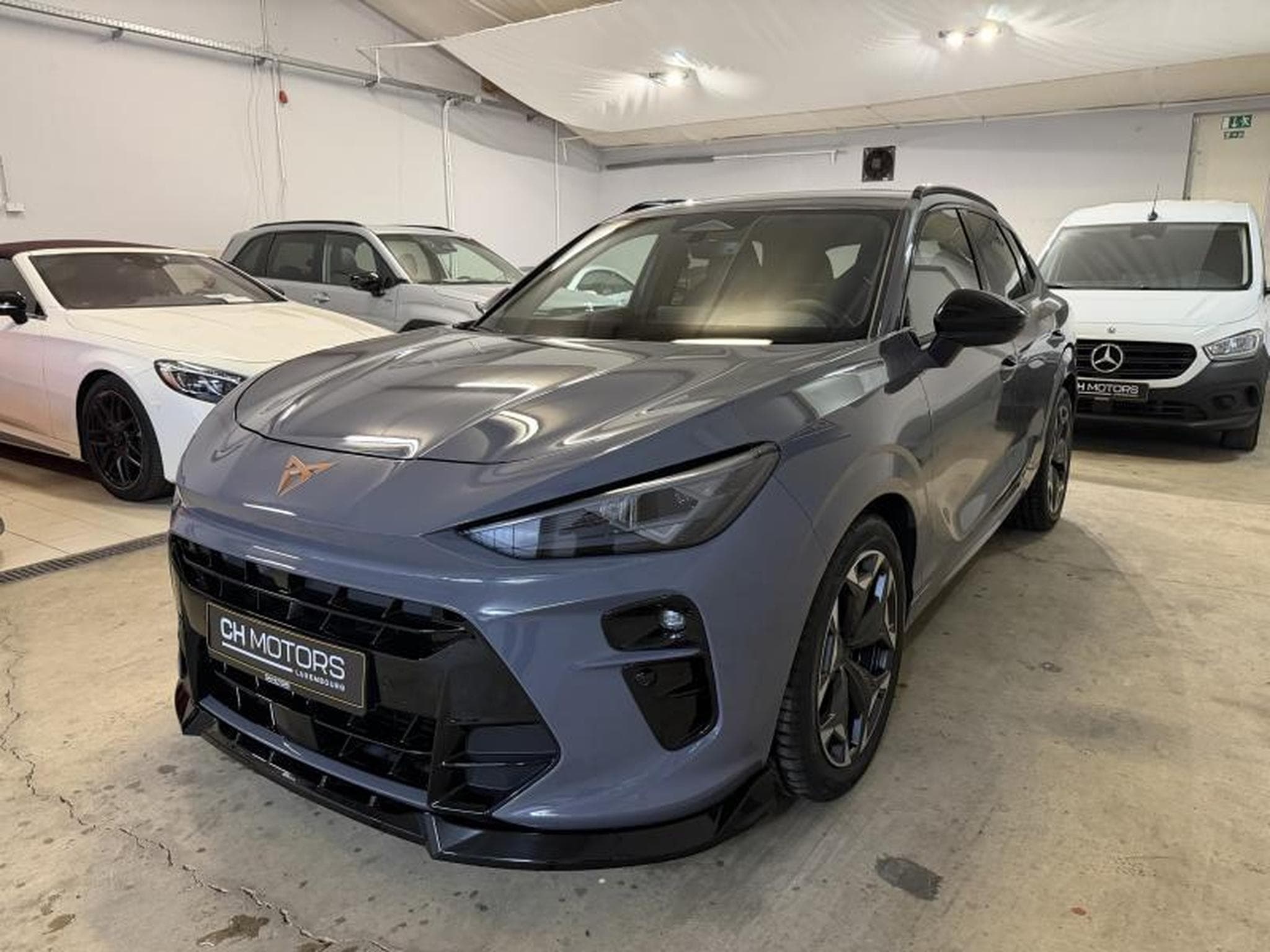 Cupra Terramar 2.0 TSI 265 DSG7 (2025) - Photo 3