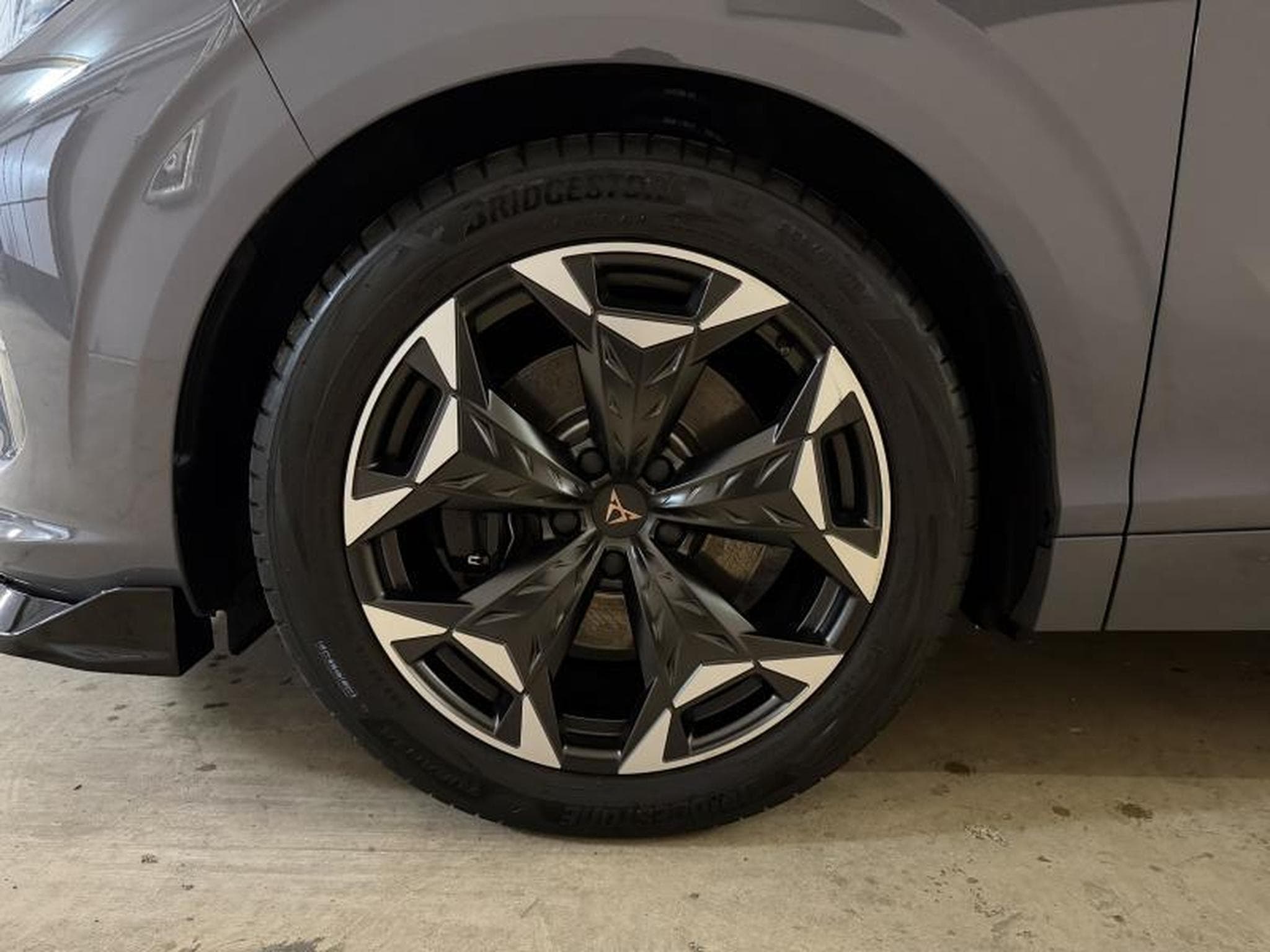 Cupra Terramar 2.0 TSI 265 DSG7 (2025) - Photo 5