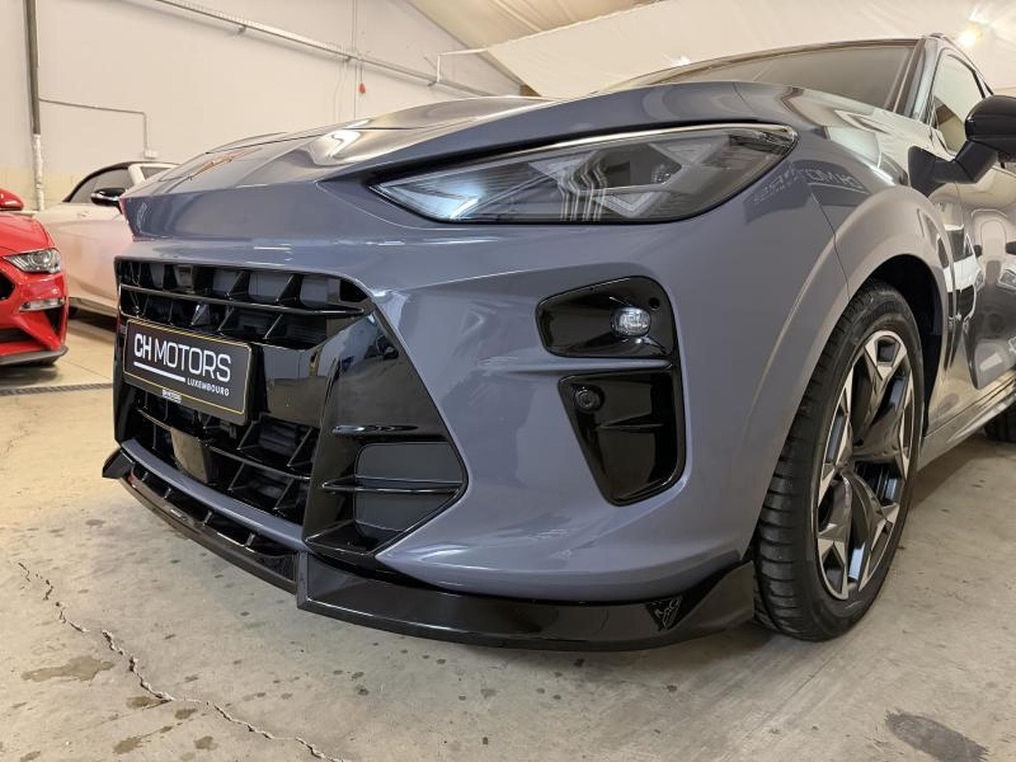Cupra Terramar 2.0 TSI 265 DSG7 (2025) - Photo 4
