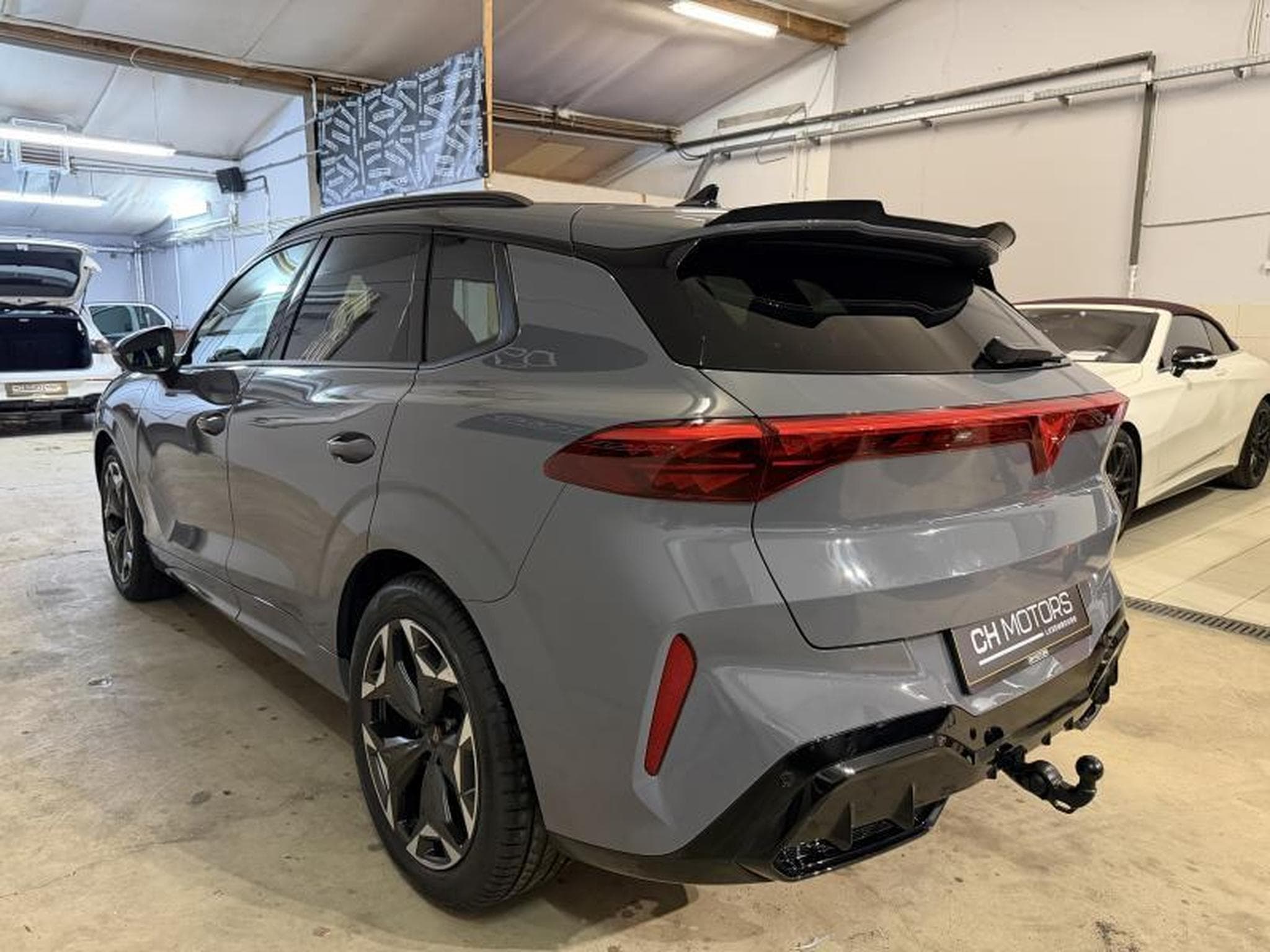 Cupra Terramar 2.0 TSI 265 DSG7 (2025) - Photo 6