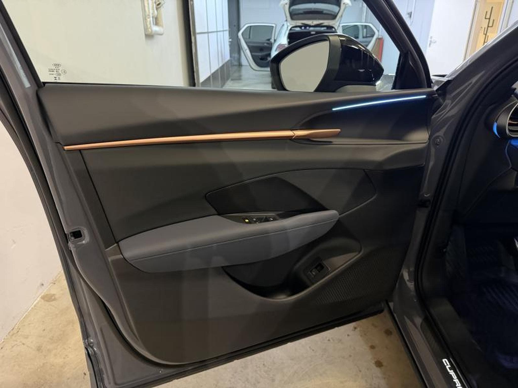 Cupra Terramar 2.0 TSI 265 DSG7 (2025) - Photo 11