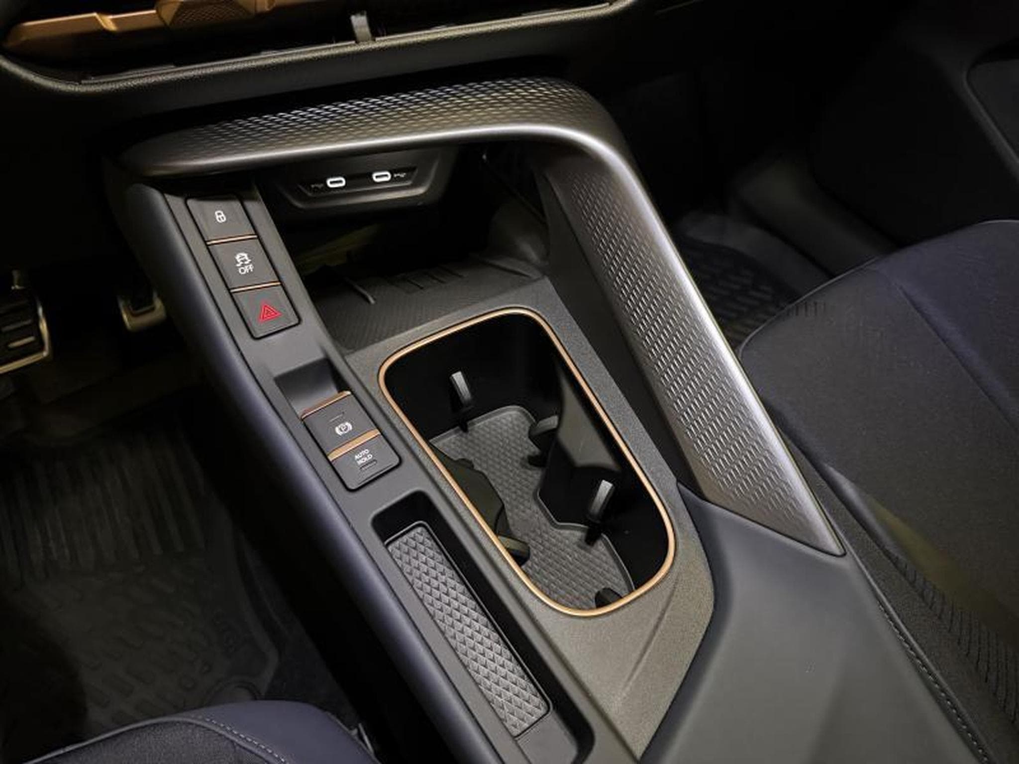 Cupra Terramar 2.0 TSI 265 DSG7 (2025) - Photo 17