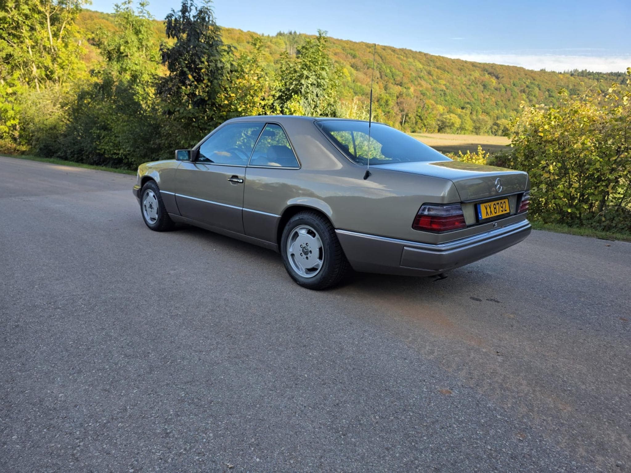 Mercedes 300 CE (1991) - Photo 3