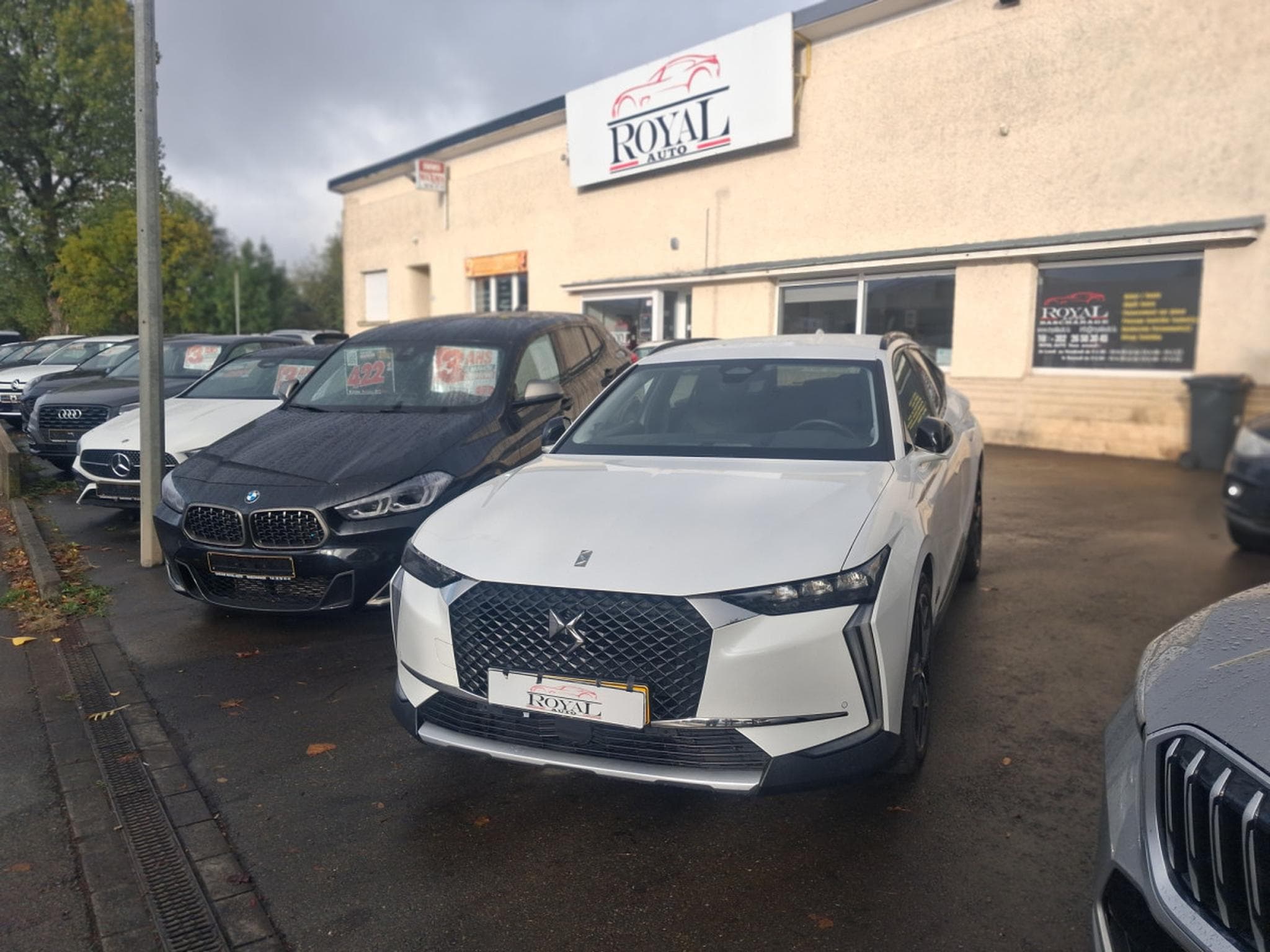 DS Automobiles DS4 CROSS RIVOLI 130 BLUE HDI (2023) - Foto 1