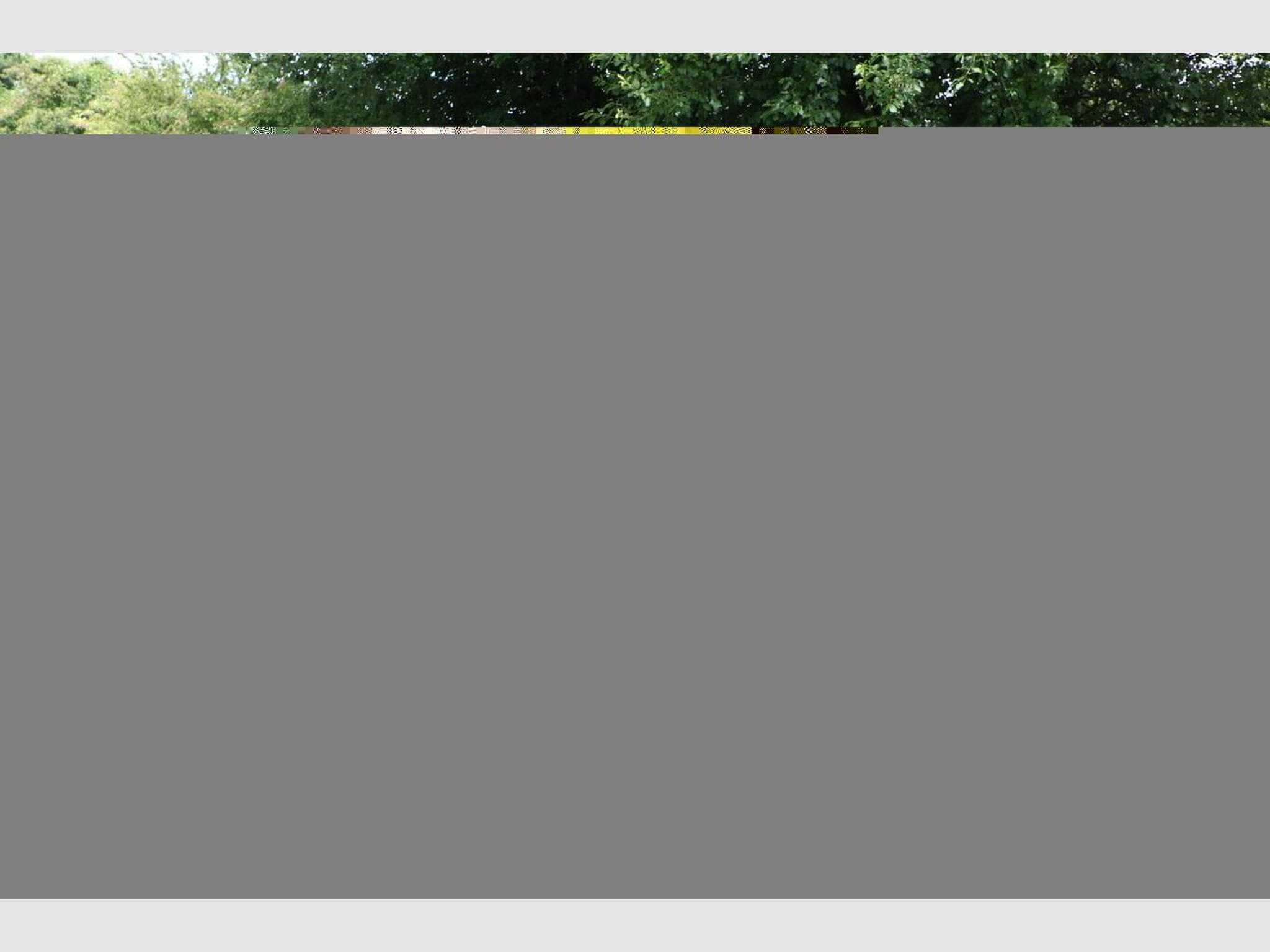 Audi Q8 S line (2026) - Photo 4