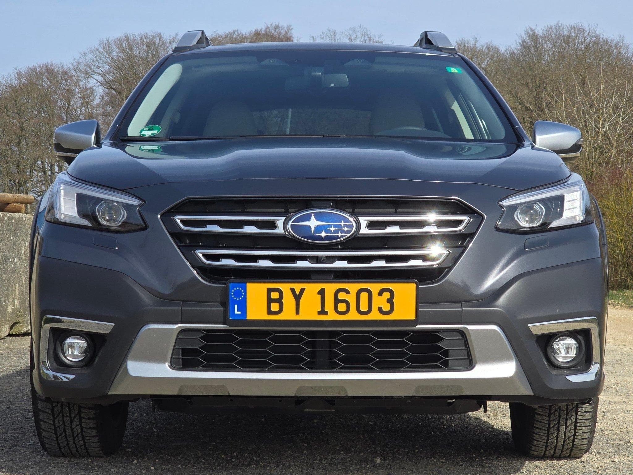 Subaru Outback 2.5 l Platinum (2023) - Photo 2