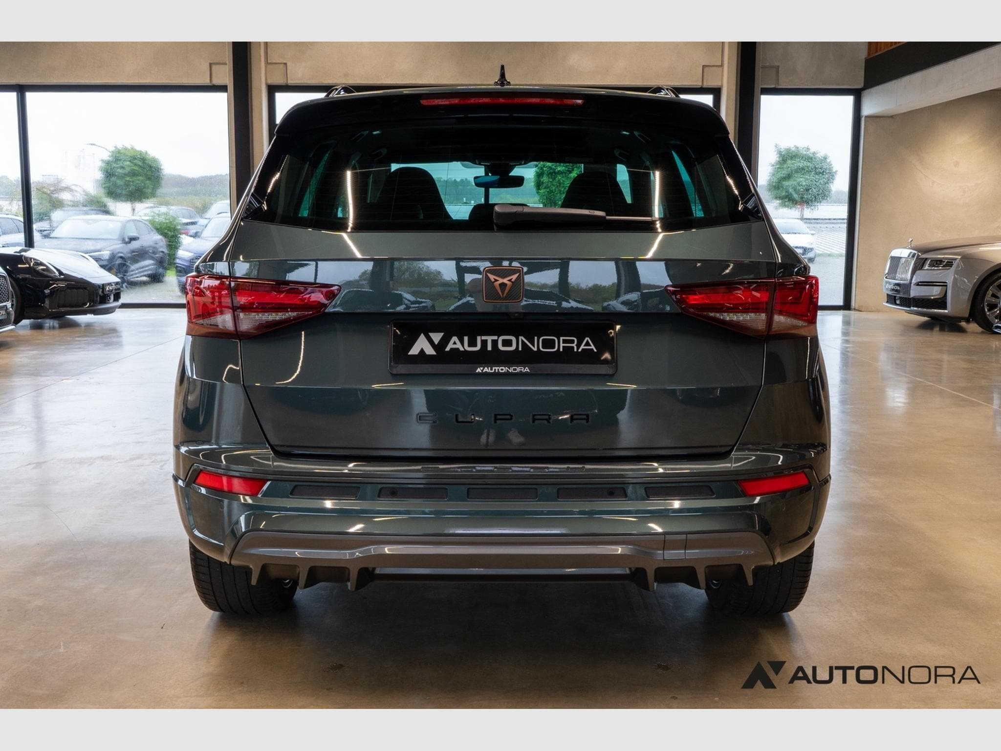 Cupra Ateca 2.0 TSI 4Drive (1970) - Photo 9