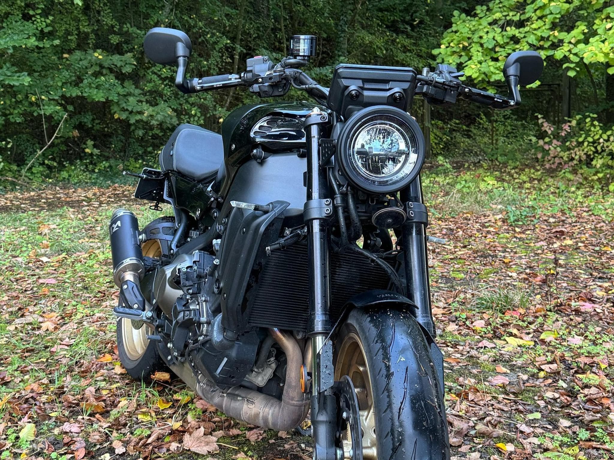 Yamaha XSR 900 RACER PACK (2025) - Photo 3