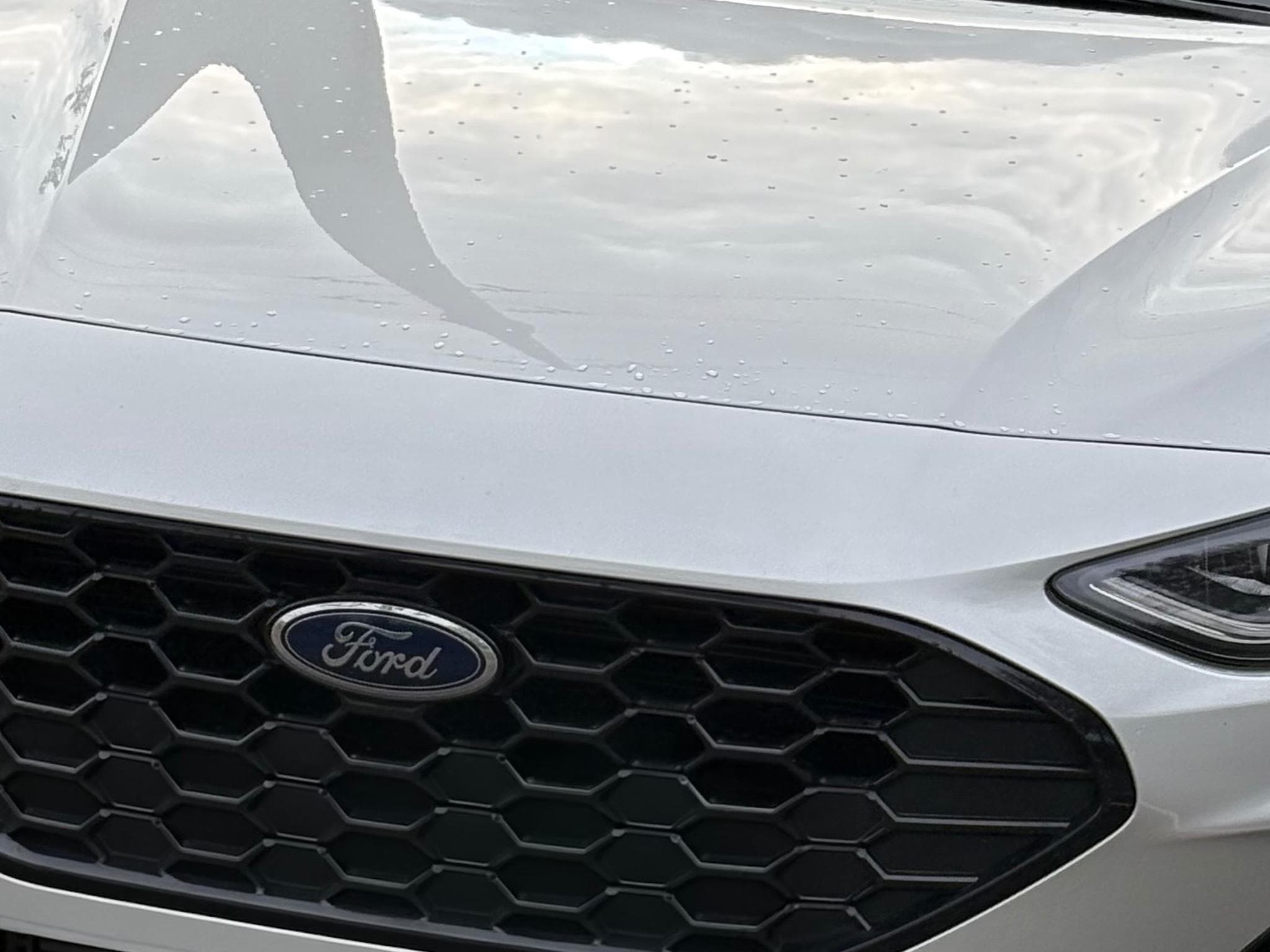 Ford Focus Clipper ST-Line X (2025) - Photo 4